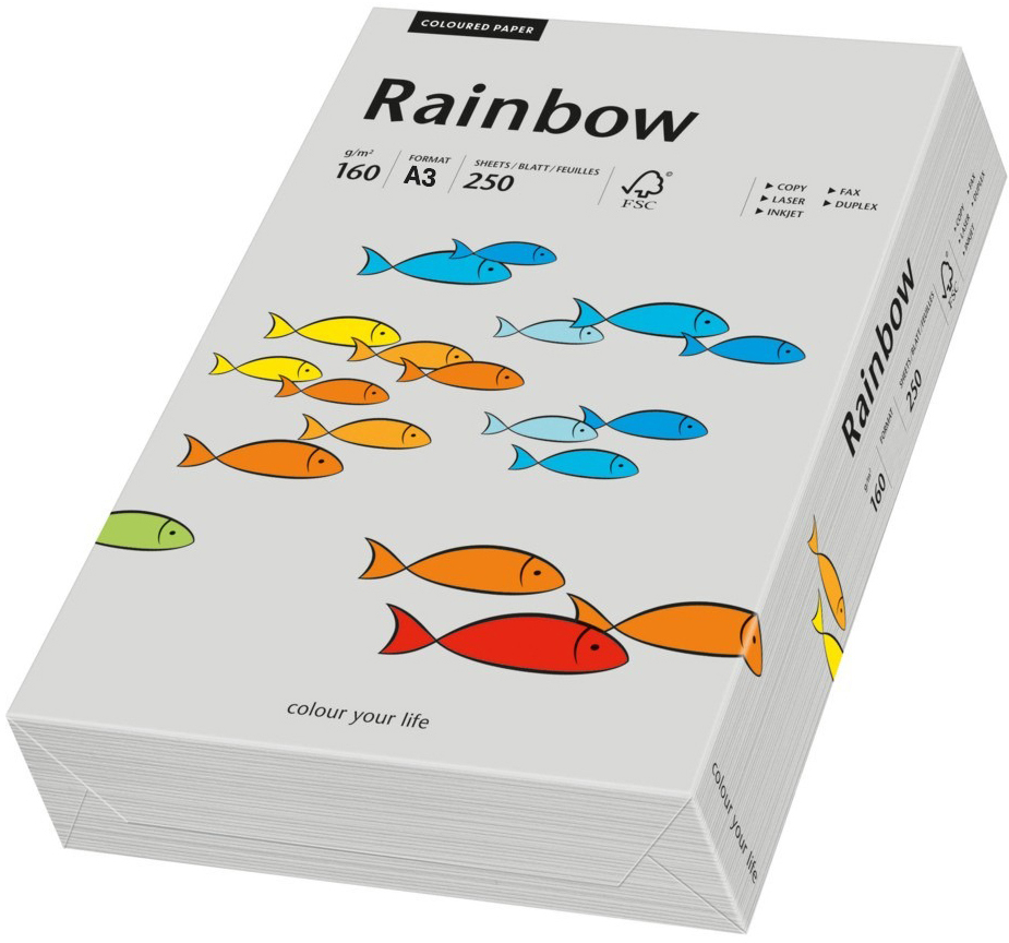 photo RAINBOW Papier gris/96 A3 88042814 FSC, 160g 250 feuilles