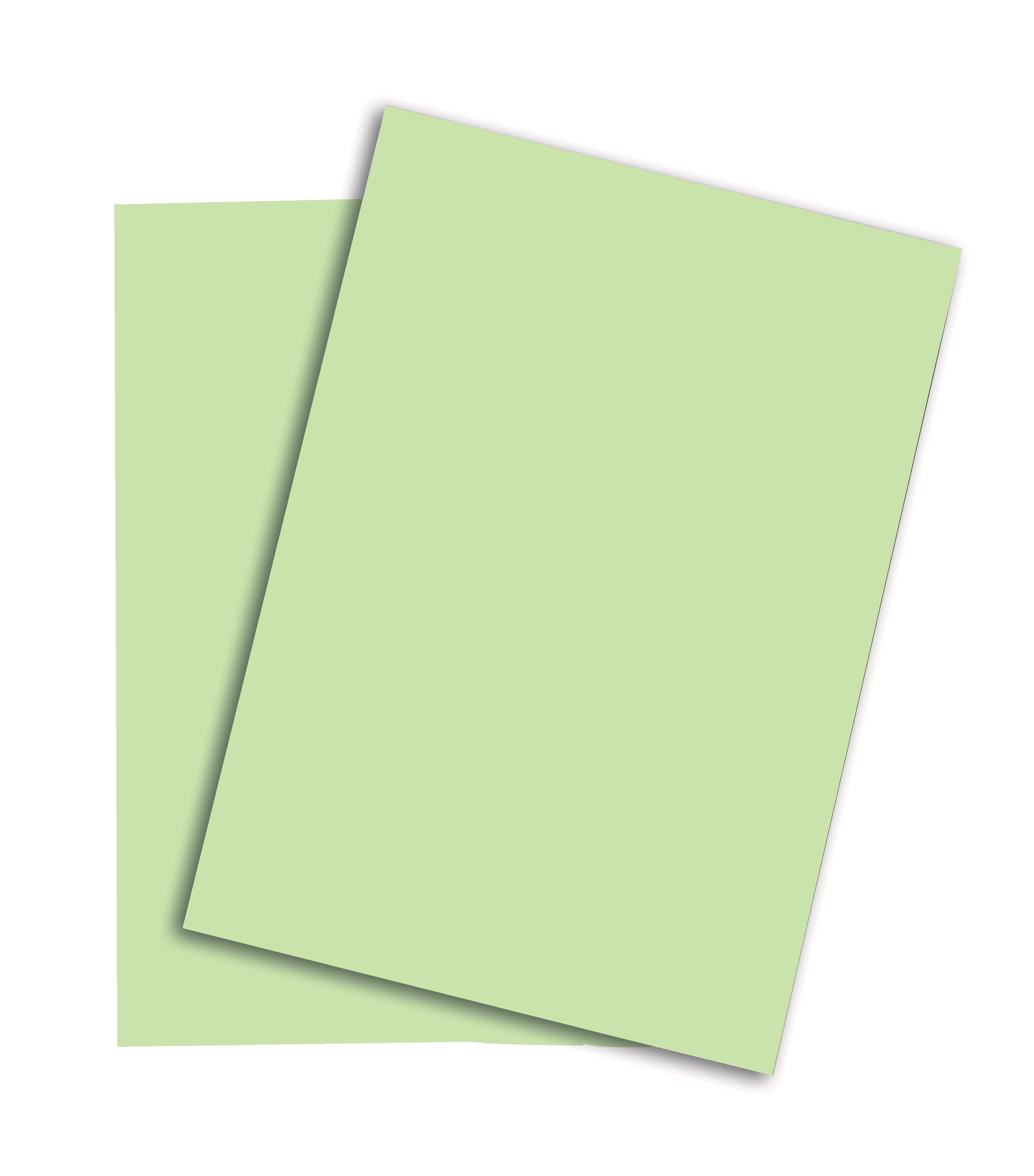 photo RAINBOW Papier vert moyen/75 A4 88043111 120g, vert 250 feuilles