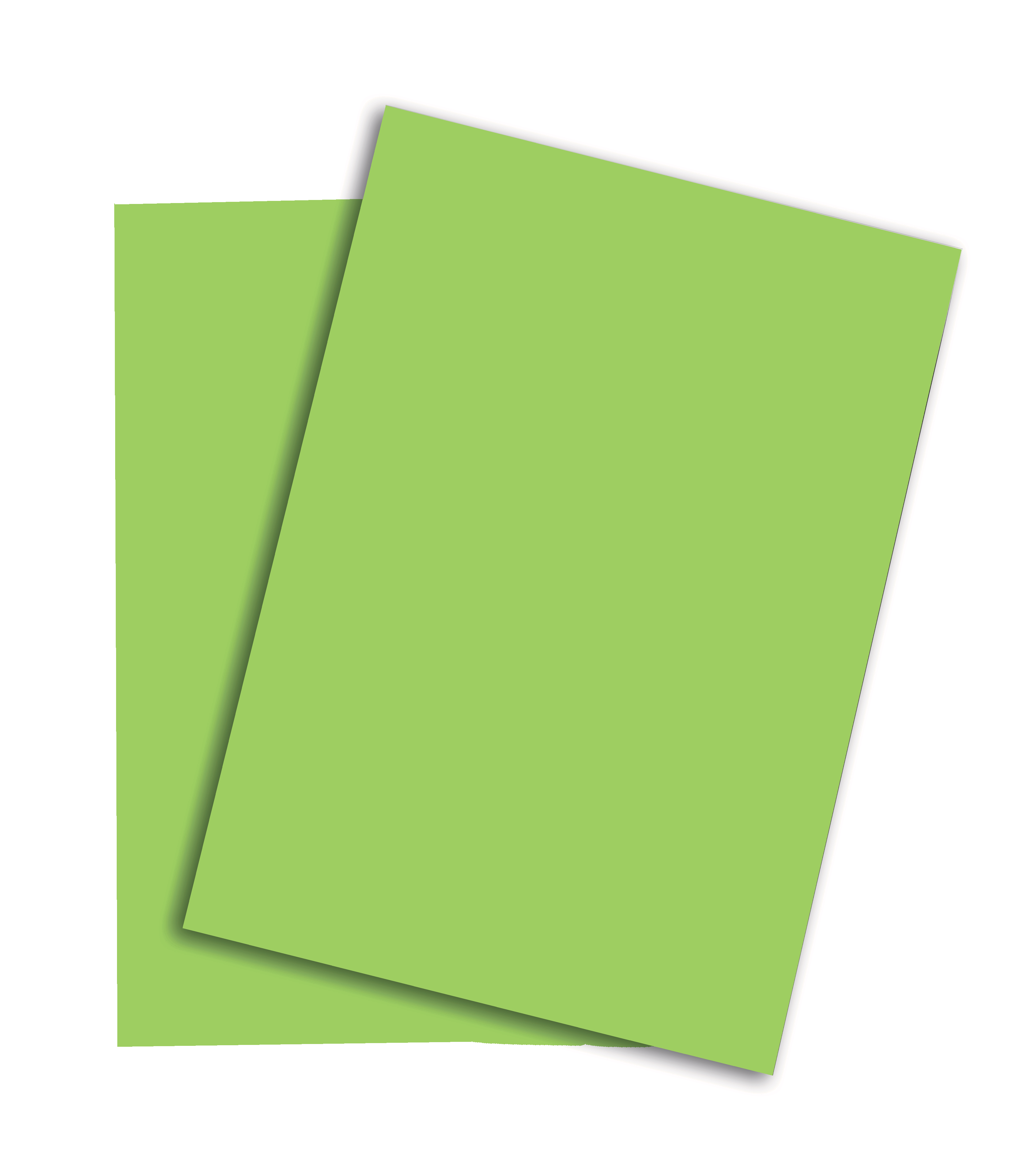 photo RAINBOW Papier vert/76 A4 88043140 160g, vert 250 feuilles