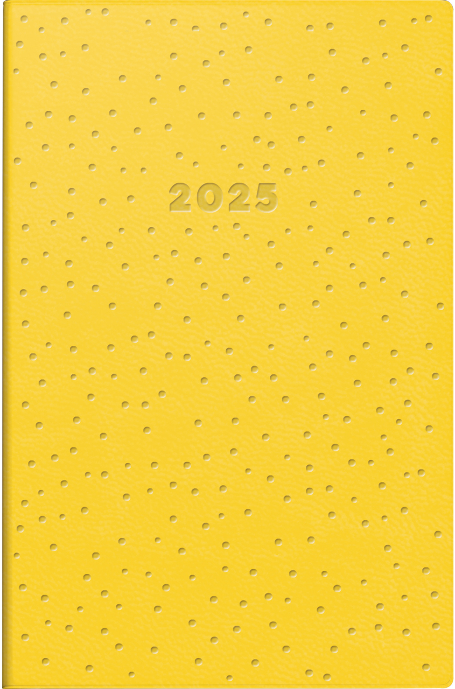 RIDOIDE Agenda Industrie I 2025 11055045.25 1S/2P StepbyS DE/EN 7.2x11.2cm