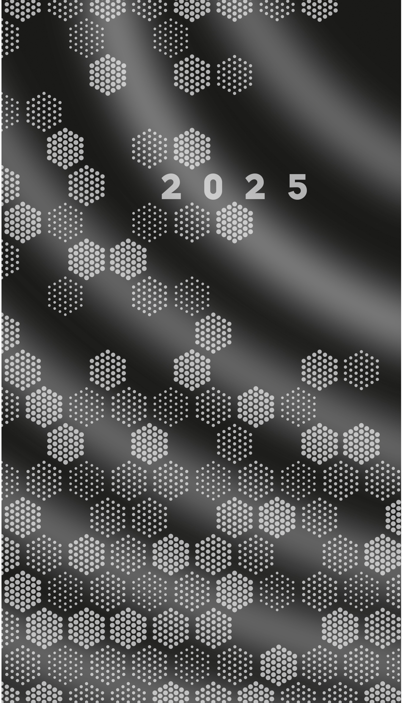 RIDOIDE Agenda de poche M-Planer 2025 46831015.25 1M/2P noir DE 8.7x15.3cm