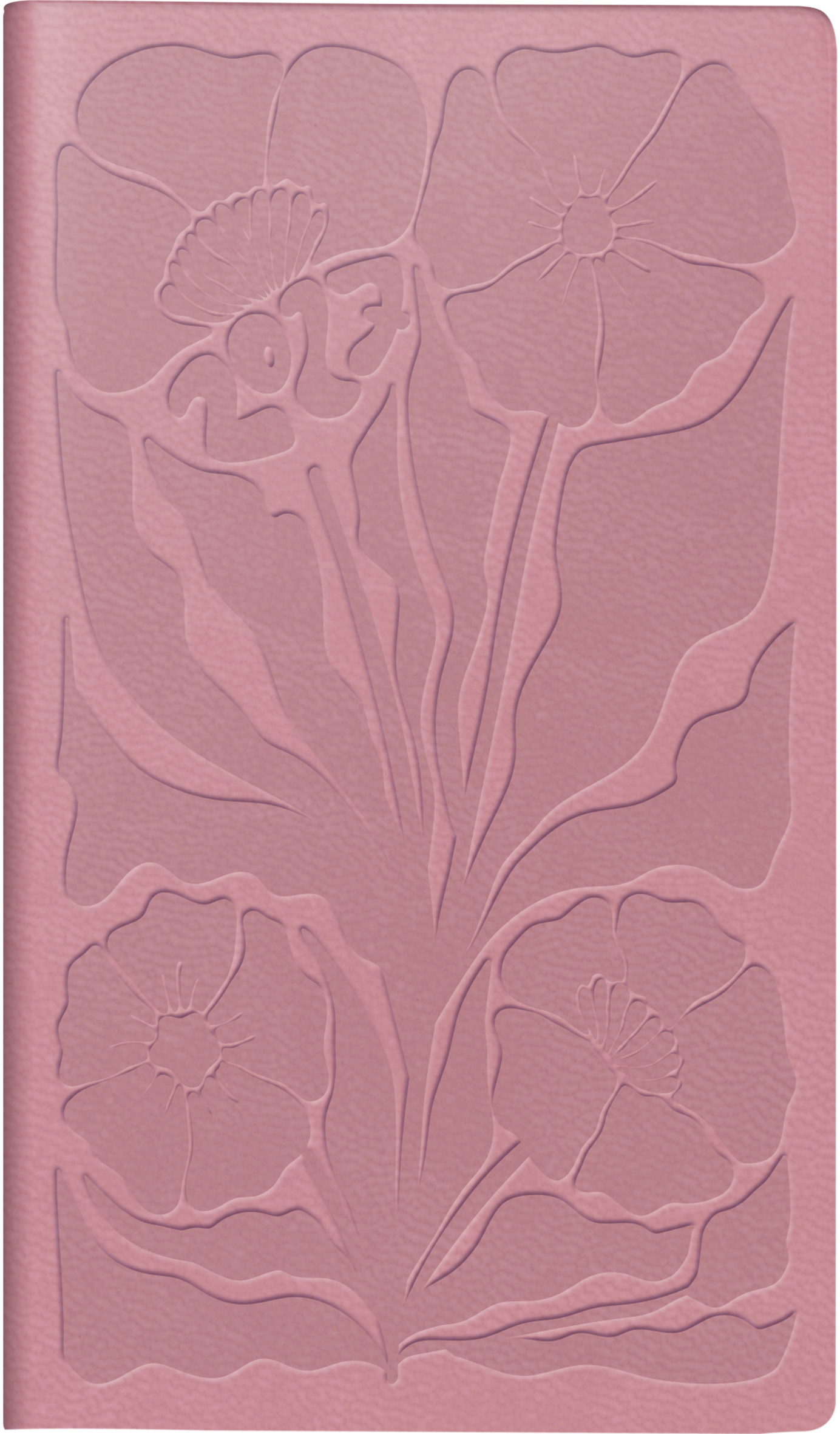 photo de l'article 486943