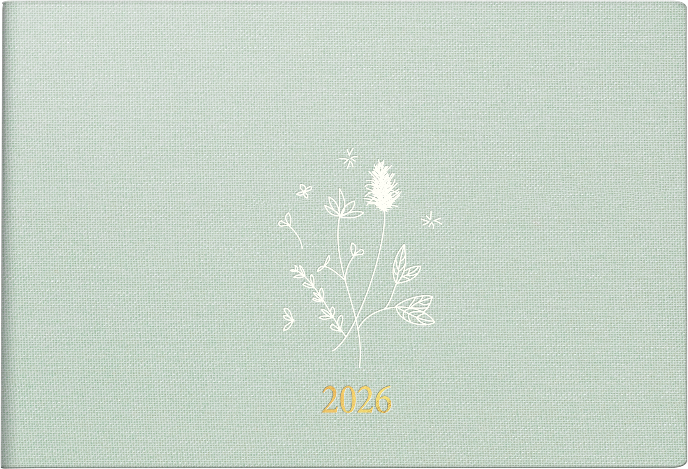 photo RIDOIDE Agenda Septimus 2026 7017515026.26 1S/2P vert clair 15.2x10.2cm