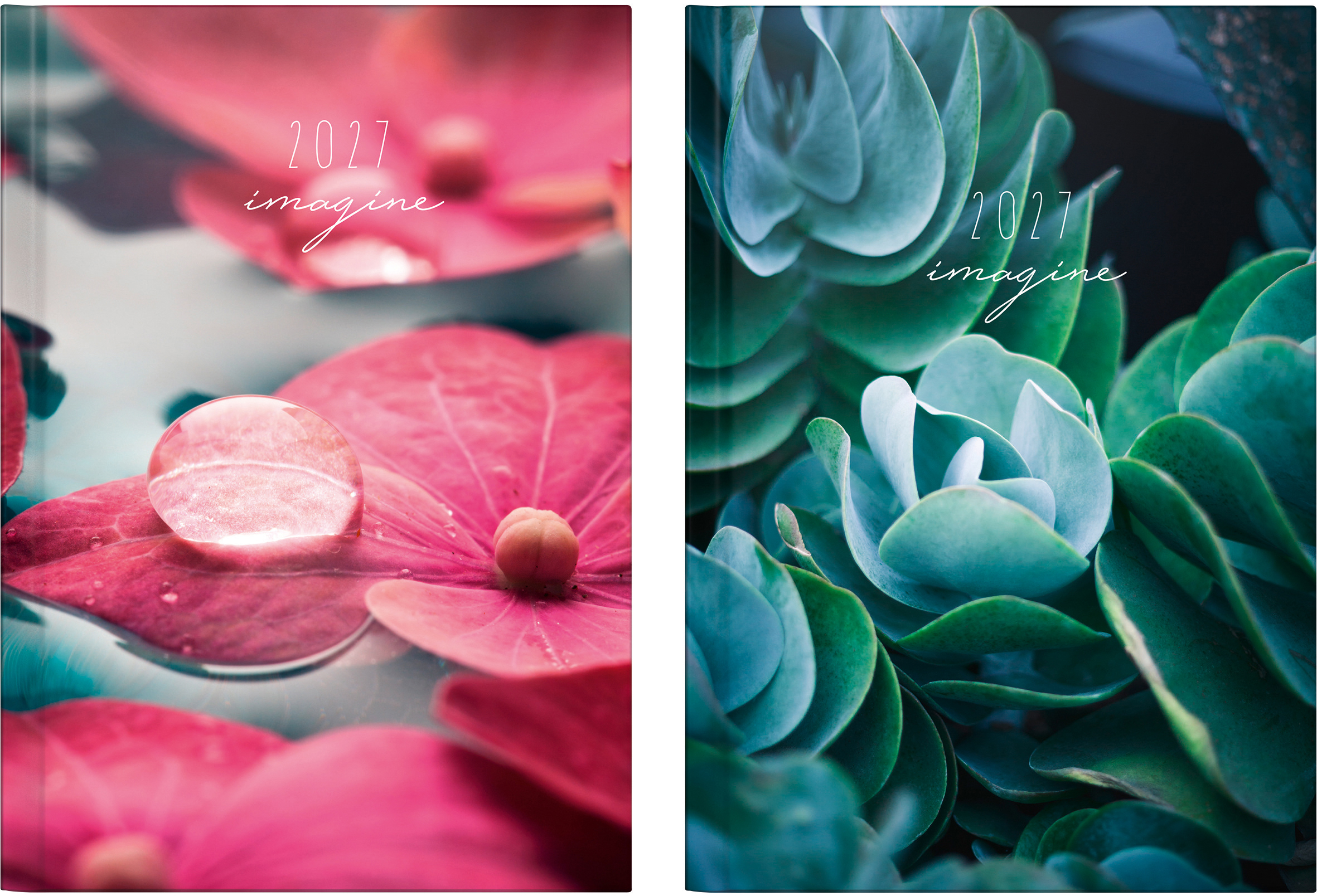 photo de l'article 707606