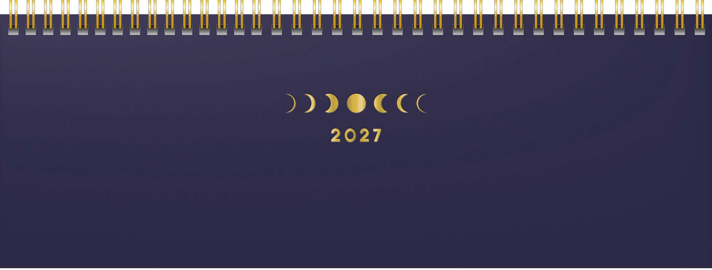 photo de l'article 723219