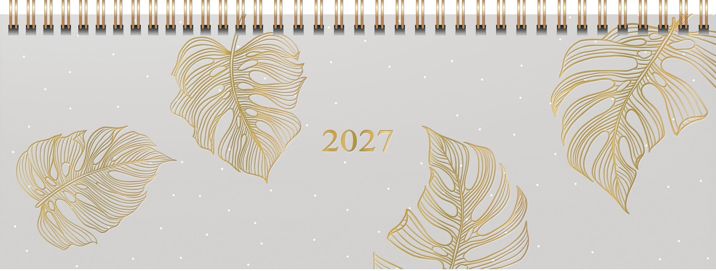 photo de l'article 726383