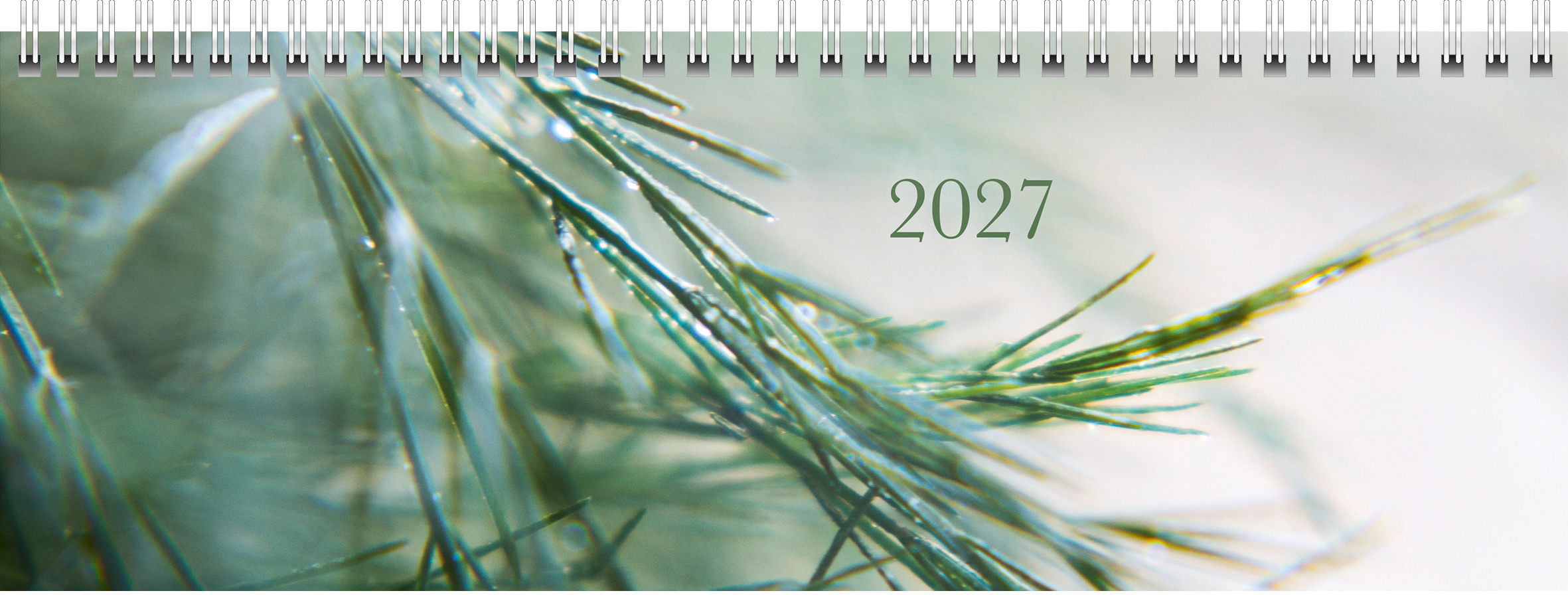 photo de l'article 726384