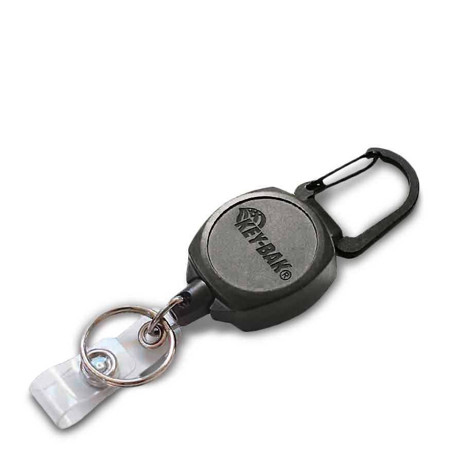 photo de l'article 730973