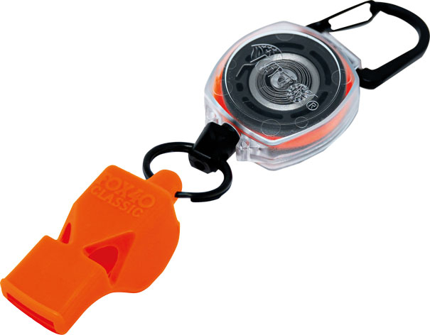 photo de l'article 730974