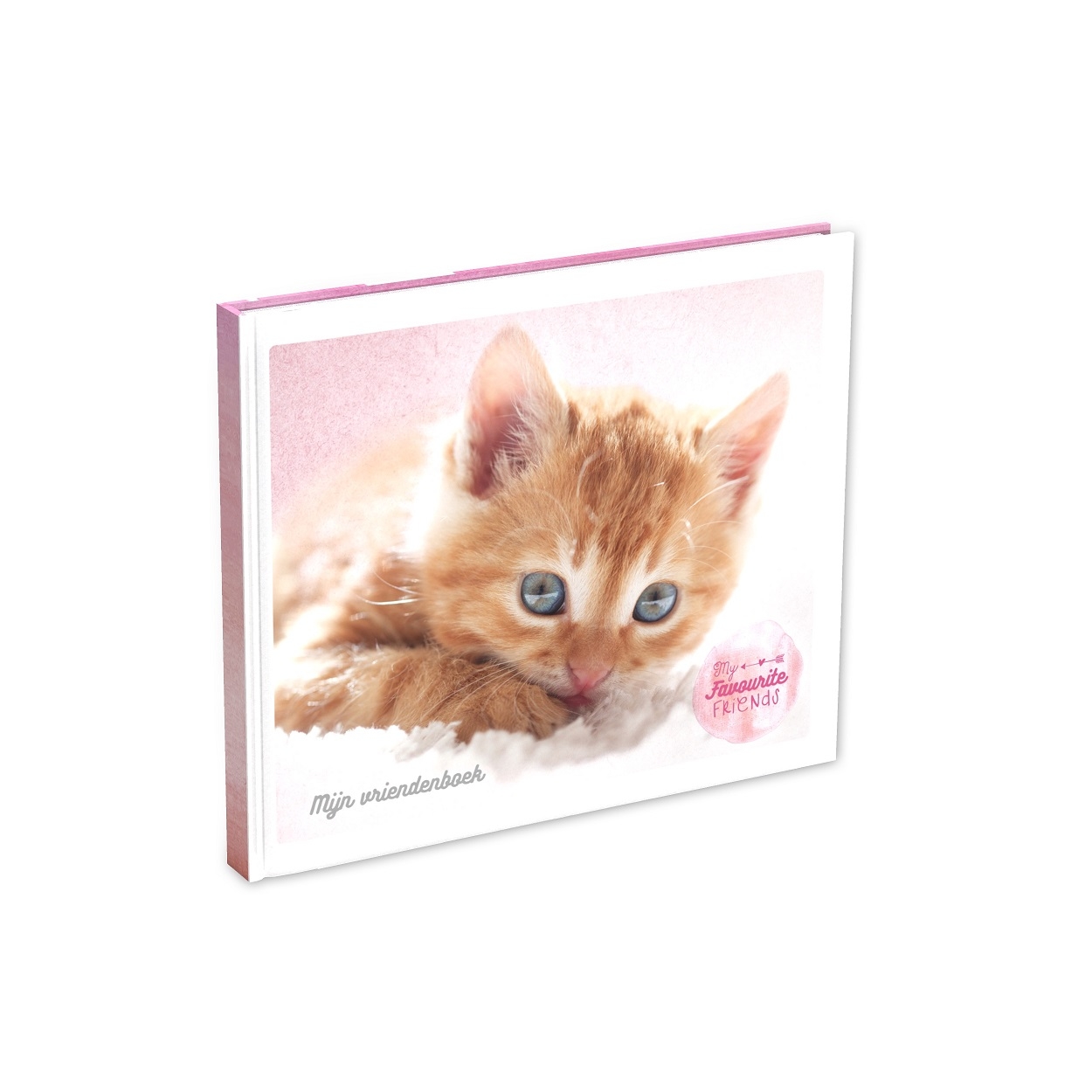 ROOST Freundebuch DE 18x21cm 414526 Katze, 56 Seiten