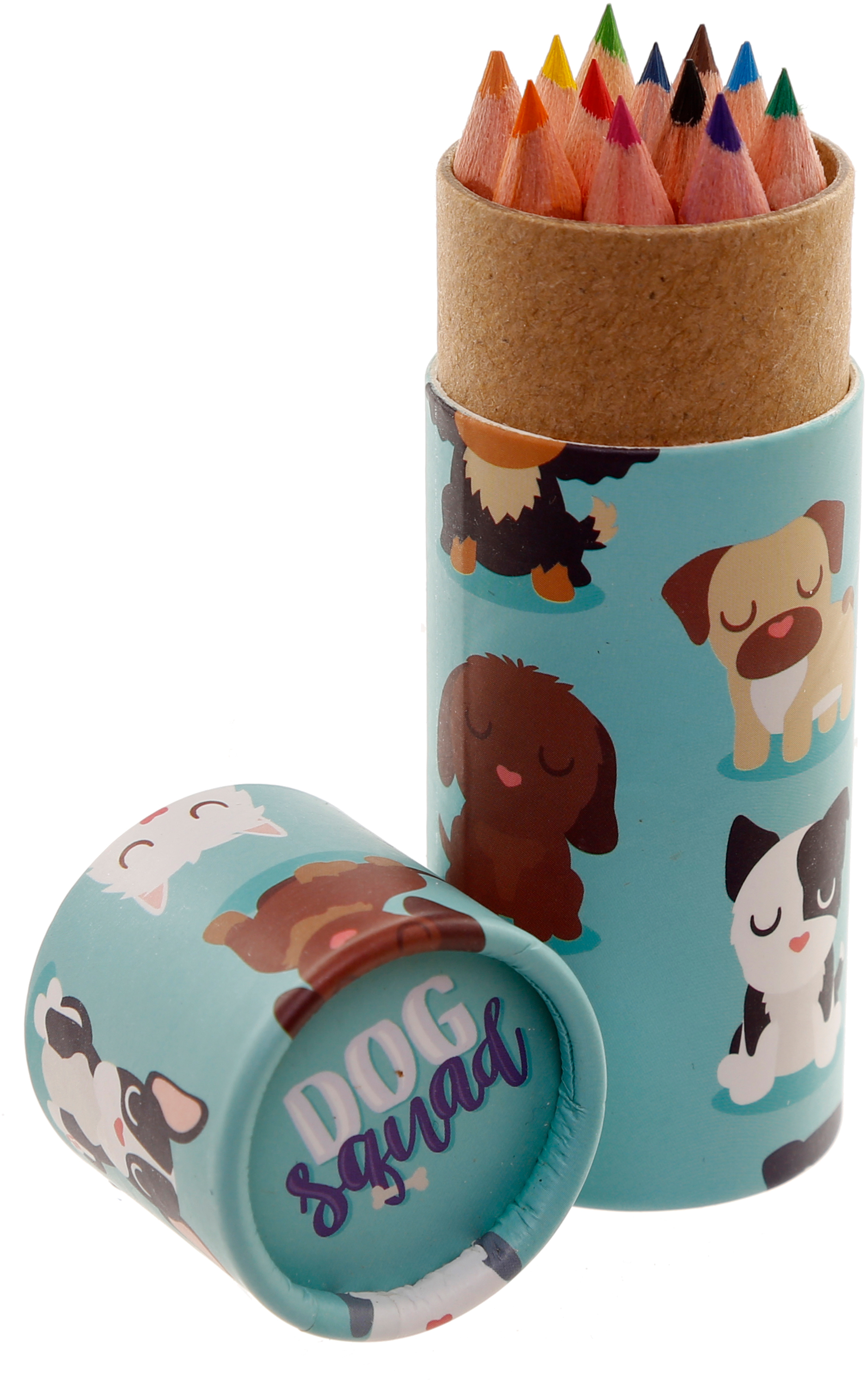 ROOST Dog Colouring Pencil Pot PCASE32 9.5x3.5x3.5cm