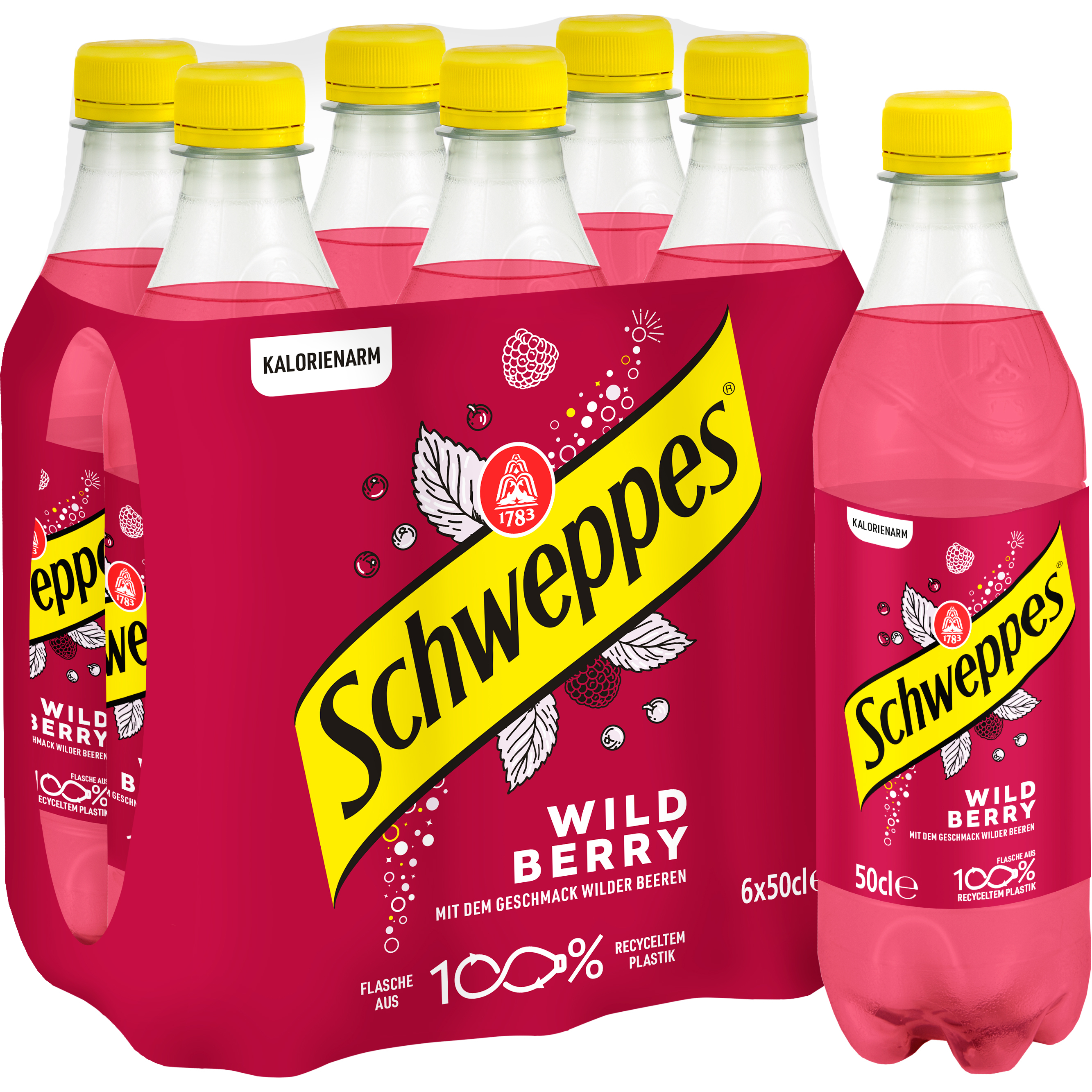 photo SCHWEPPES Wild Berry 11020621 50 cl, 6 pcs.