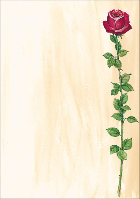 SIGEL Papier design A4 DP695 Rose Bloom, 90g 25 feuilles