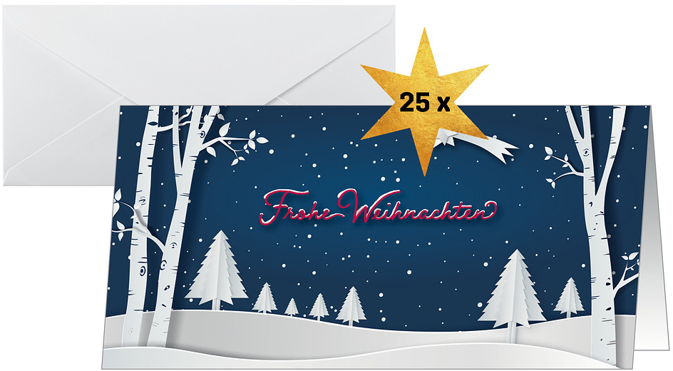 photo SIGEL Cartes de Noël DL DS087 Pop-up paysage d'hiver 25 pcs.