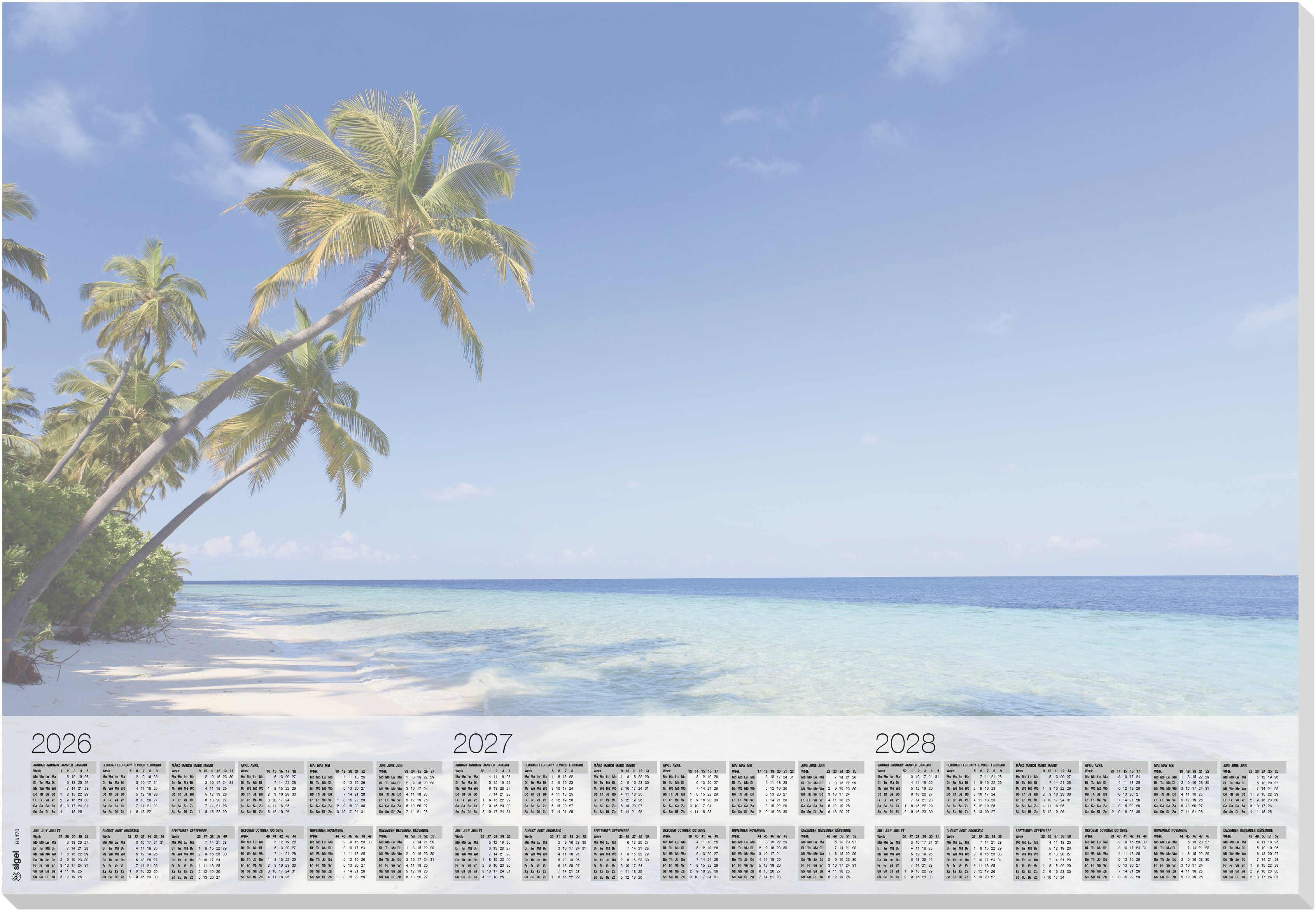 photo de l'article 490772