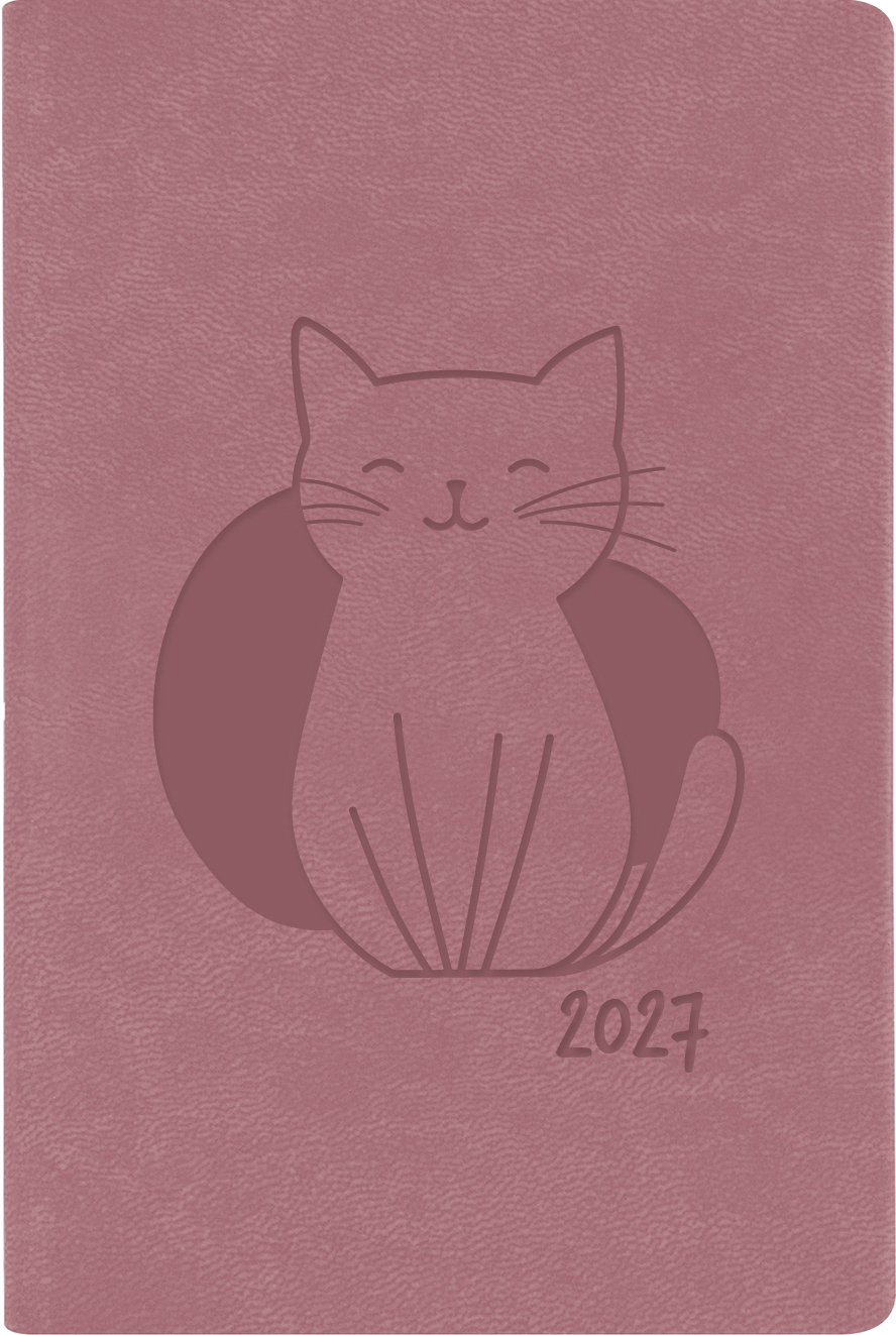 photo de l'article 480931