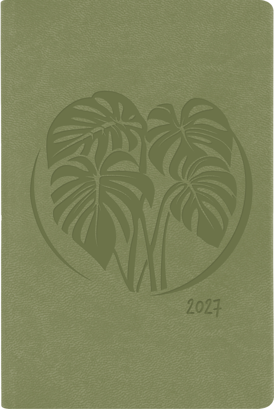 photo de l'article 480932