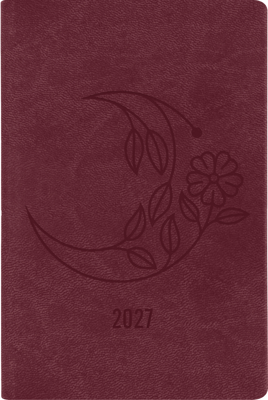 photo de l'article 480933