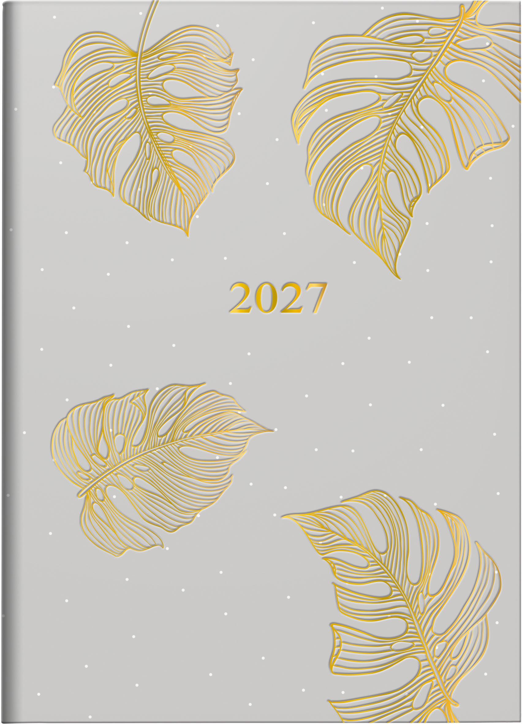 photo de l'article 444124