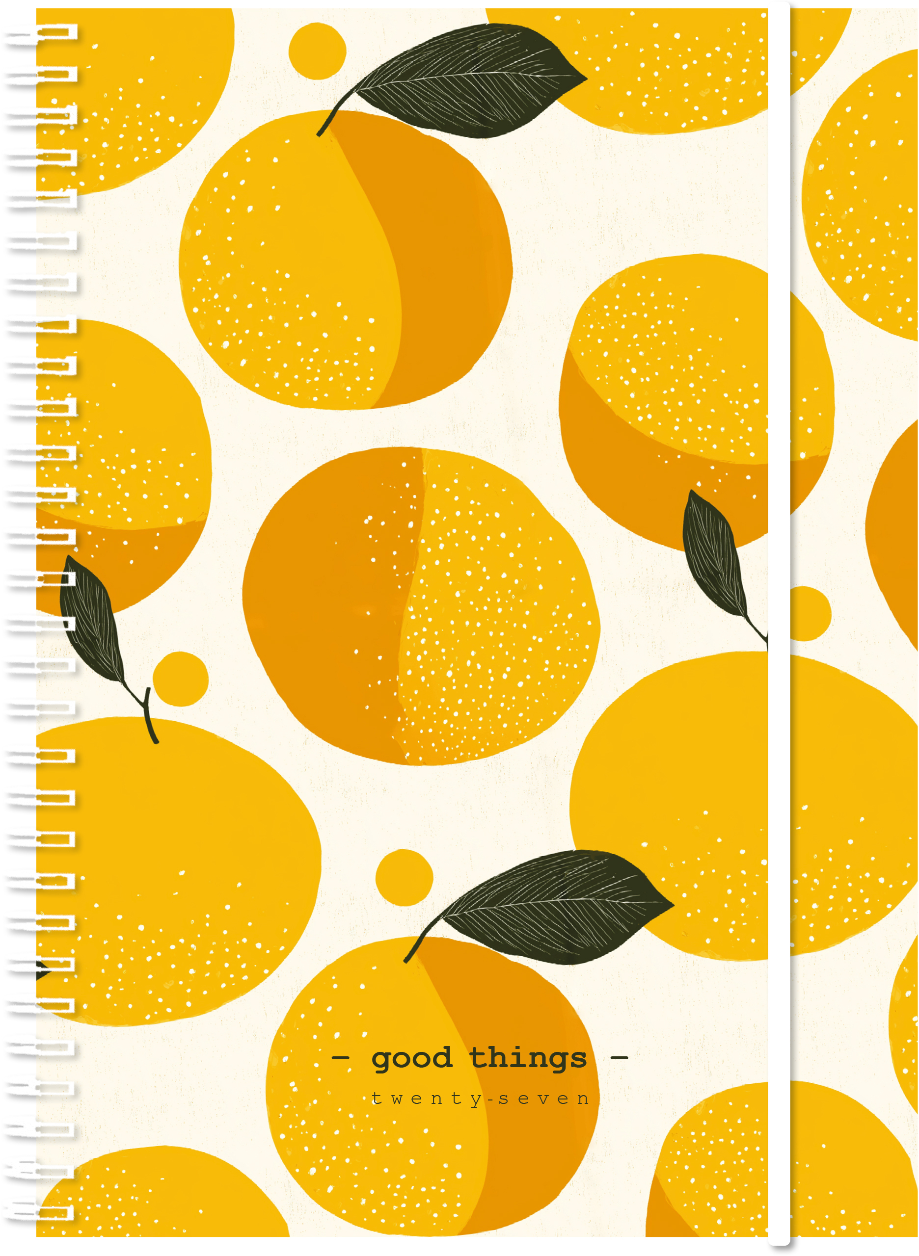 photo de l'article 486933