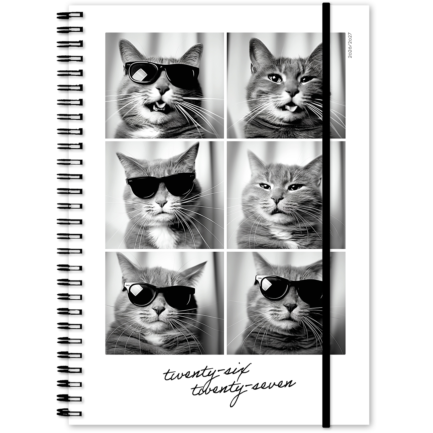 photo de l'article 482207