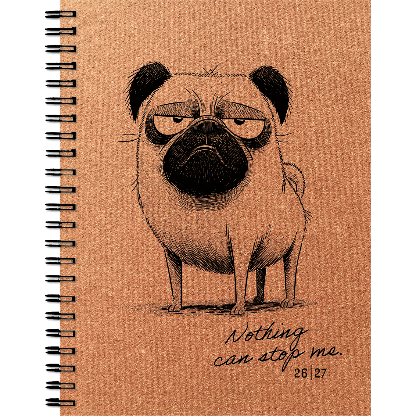 photo de l'article 472576