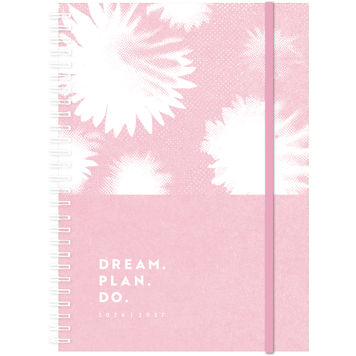 photo de l'article 710159