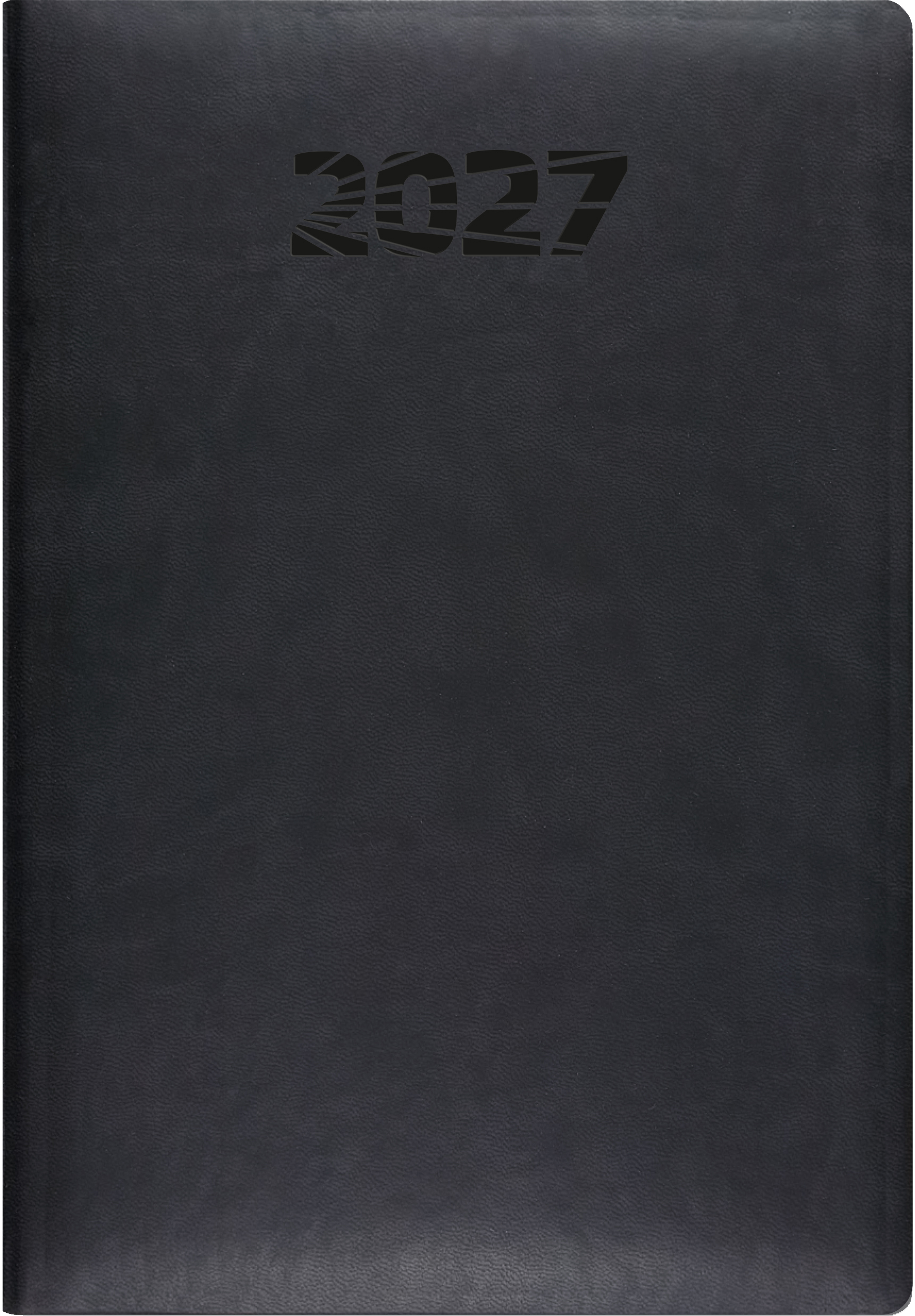 photo de l'article 486931