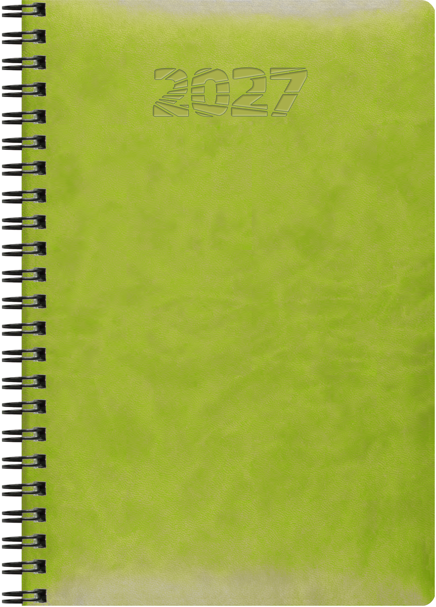 photo de l'article 480989