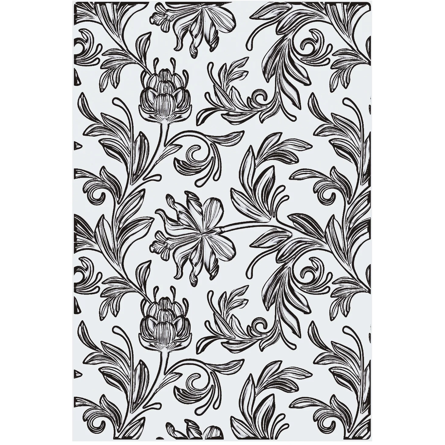 photo SIZZIX Gabarit d'estampage A5 666888 Botanical Large