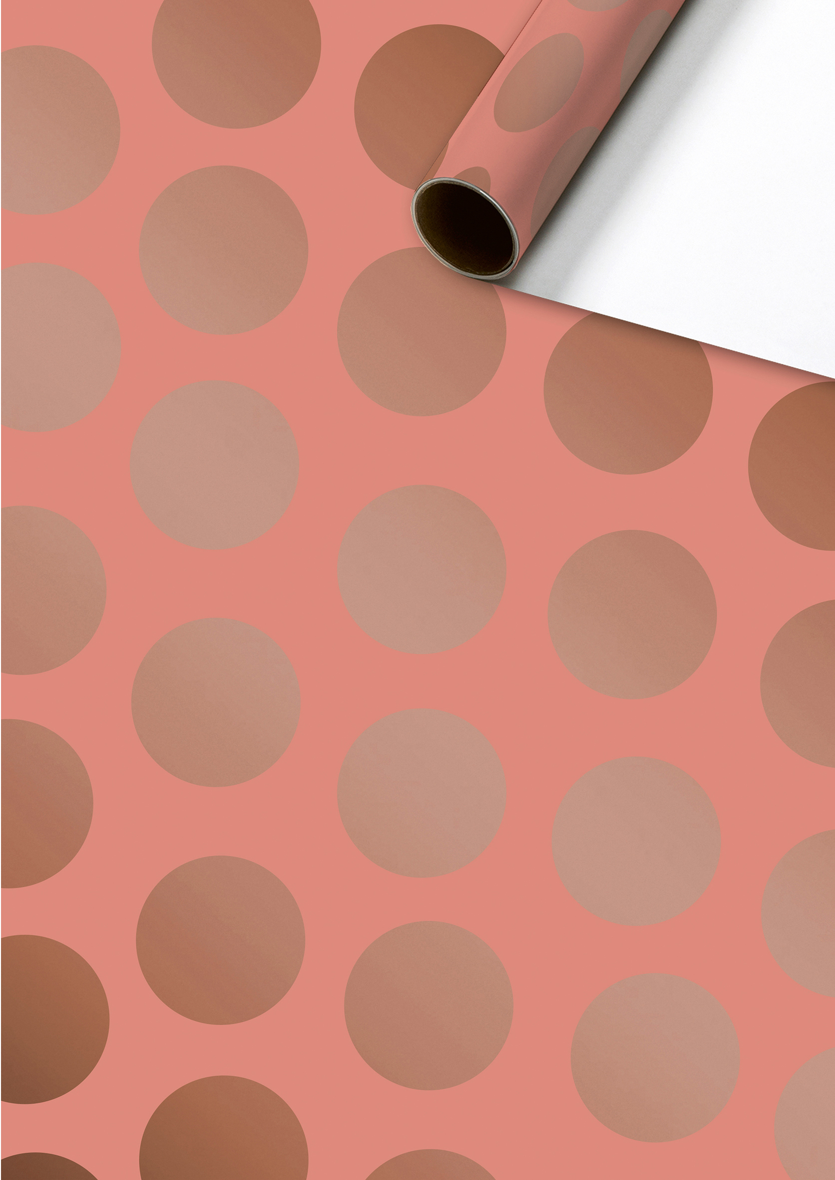 photo de l'article 424657