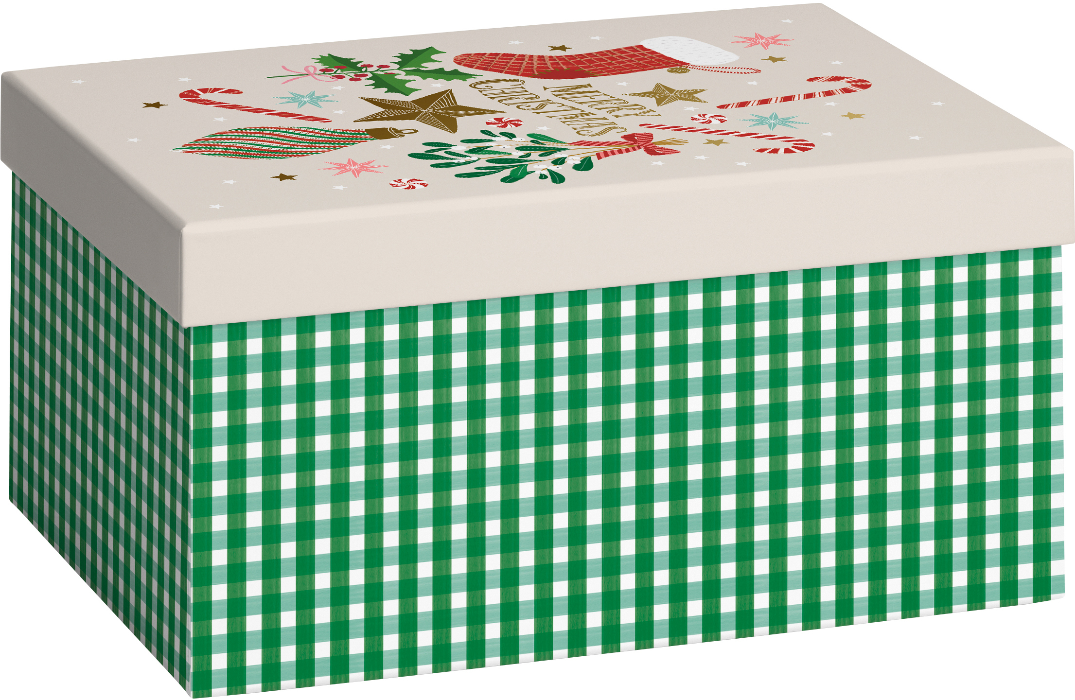 STEWO Geschenkbox Chralize 2551505651 grün 16.5x24x12cm