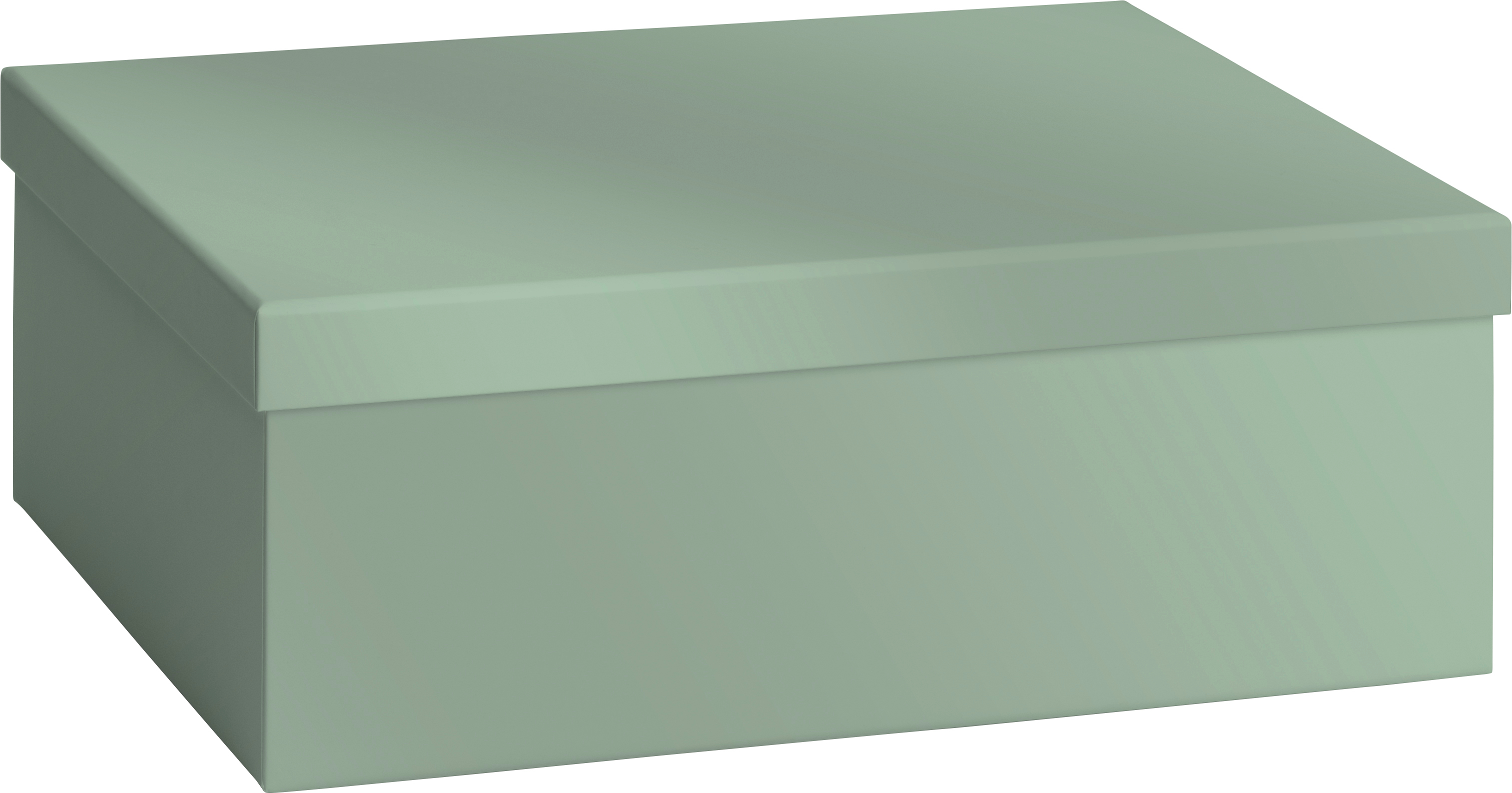 photo de l'article 423677