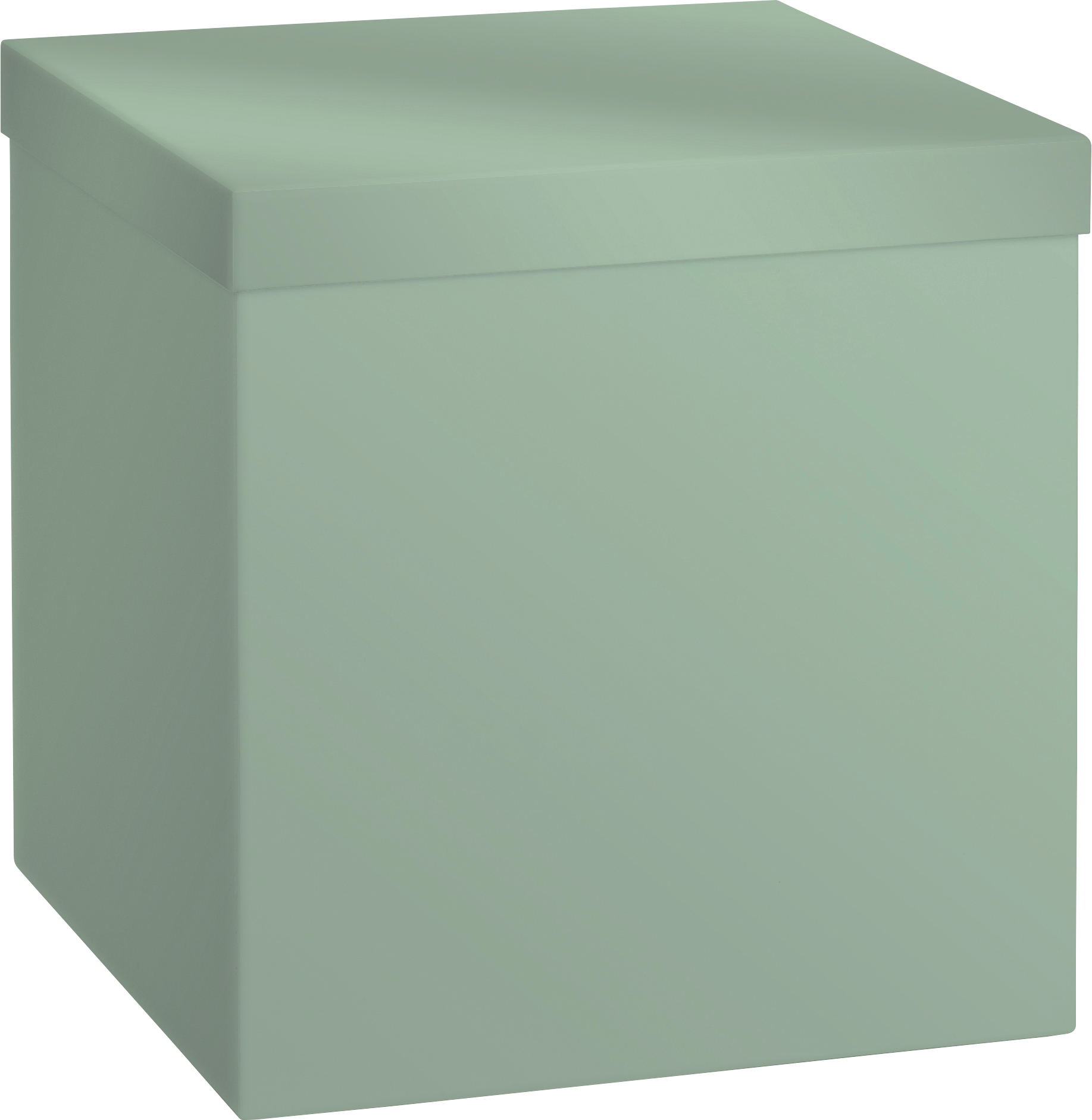 photo de l'article 423680