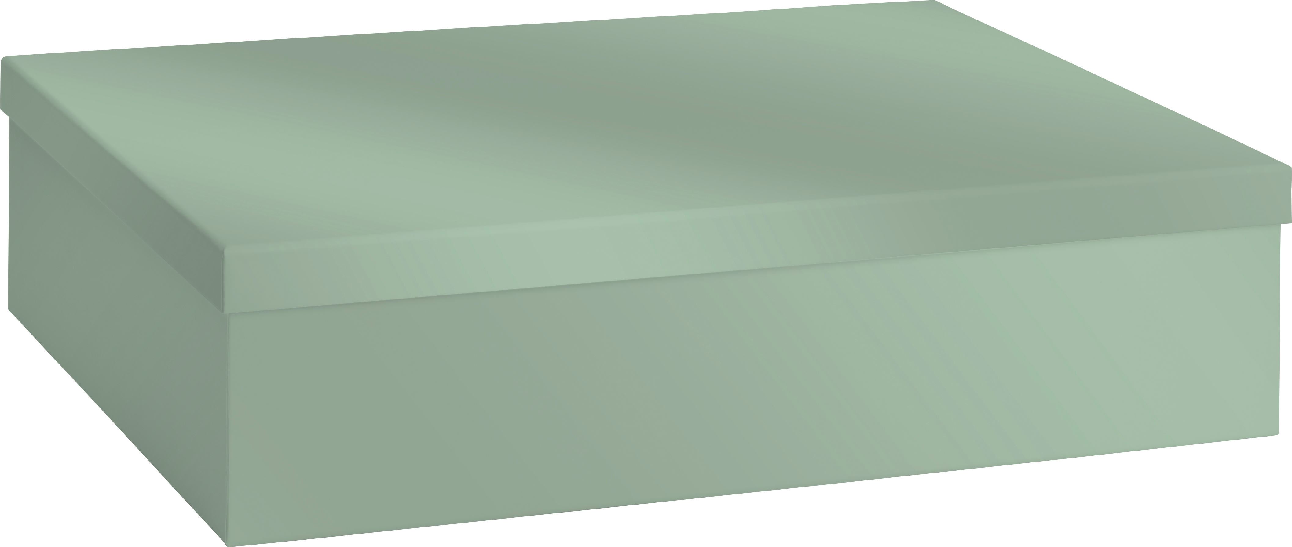 photo de l'article 423681