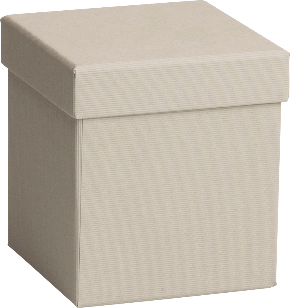 STEWO Boîte cadeau Cube 2551616690 gris clair 11x11x12cm