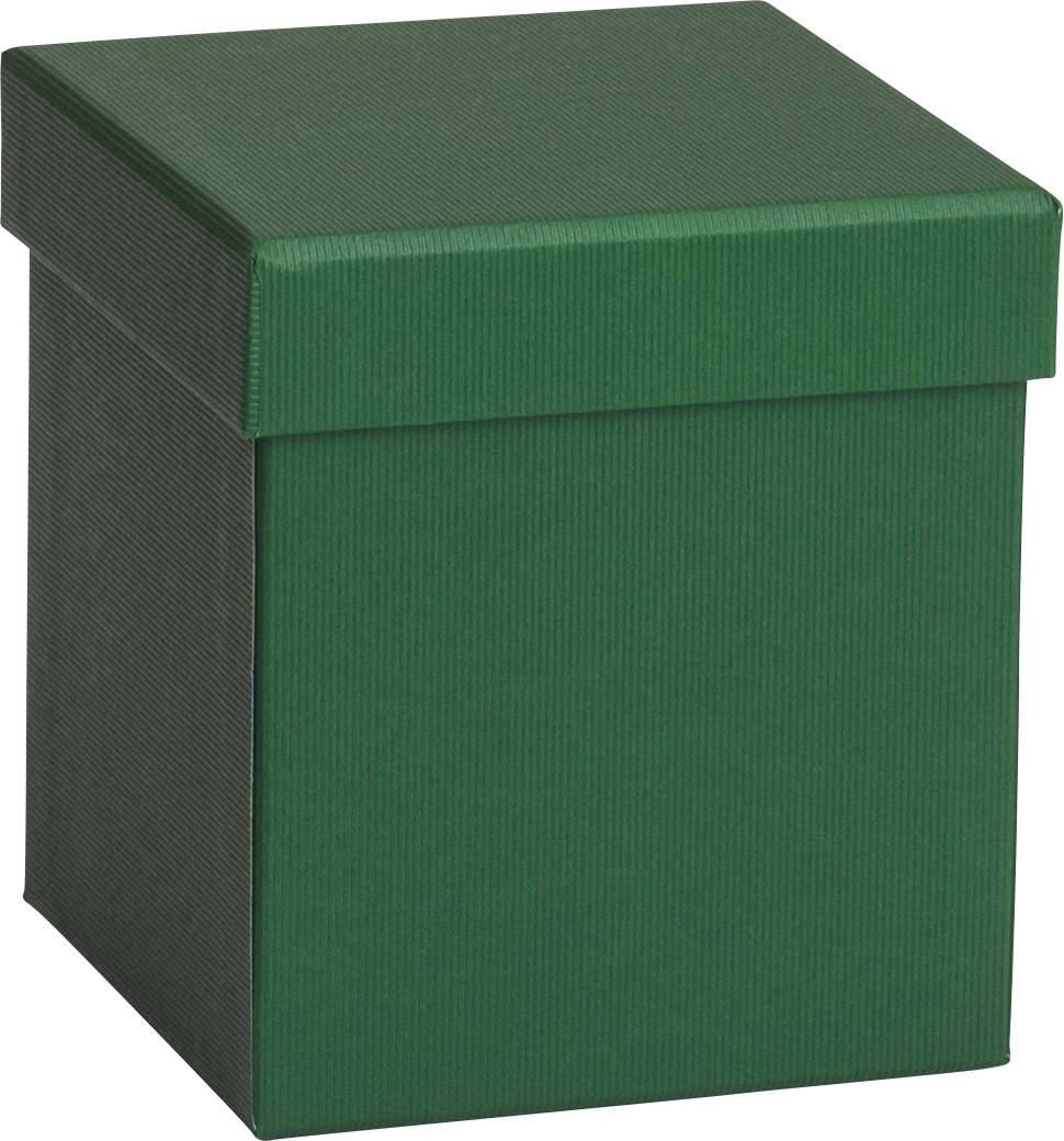 STEWO Boîte cadeau One Colour 2551782690 vert foncé 11x11x12cm vert foncé 11x11x12cm