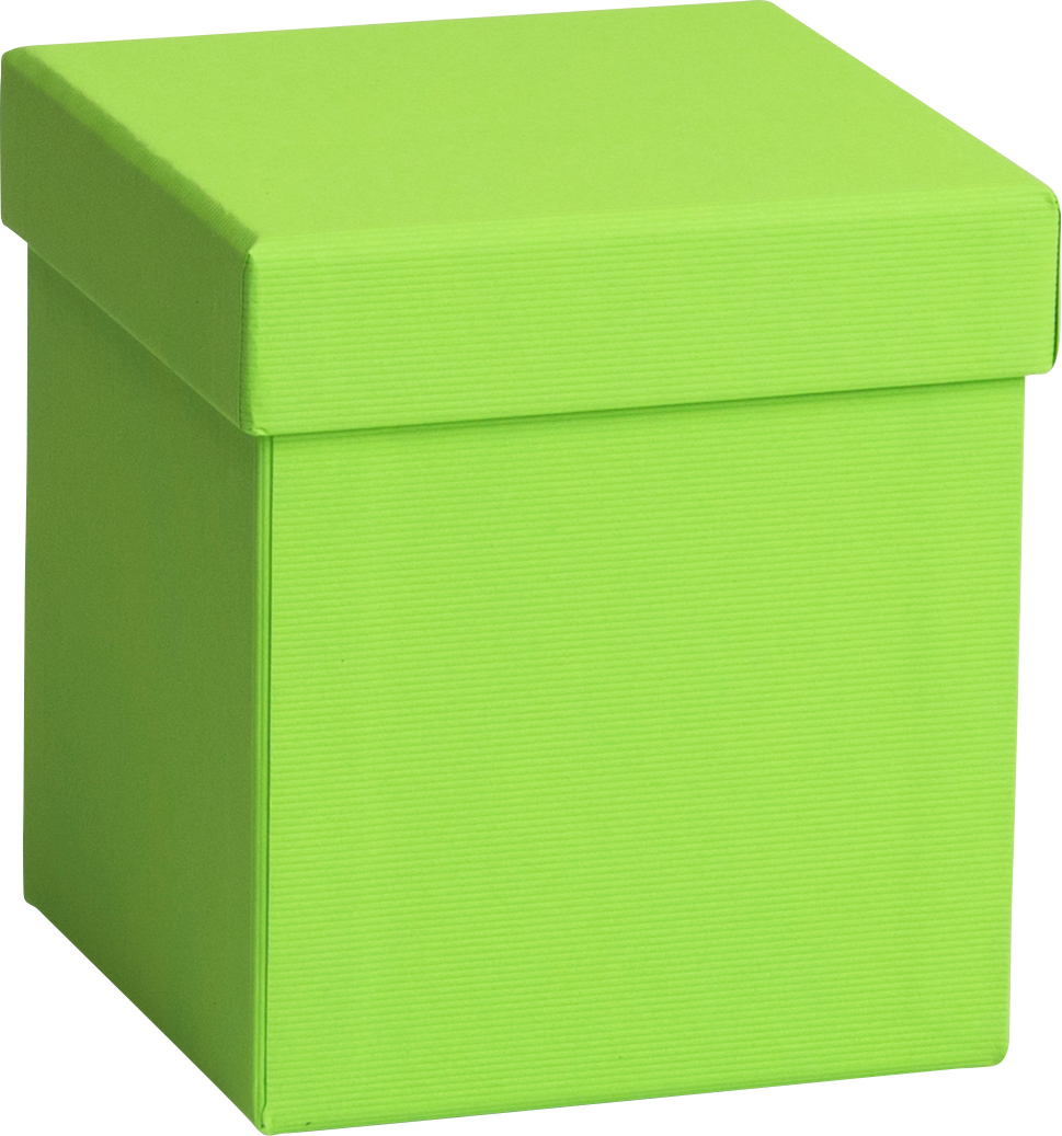 STEWO Boîte cadeau One Colour 2551782890 vert clair 11x11x12cm