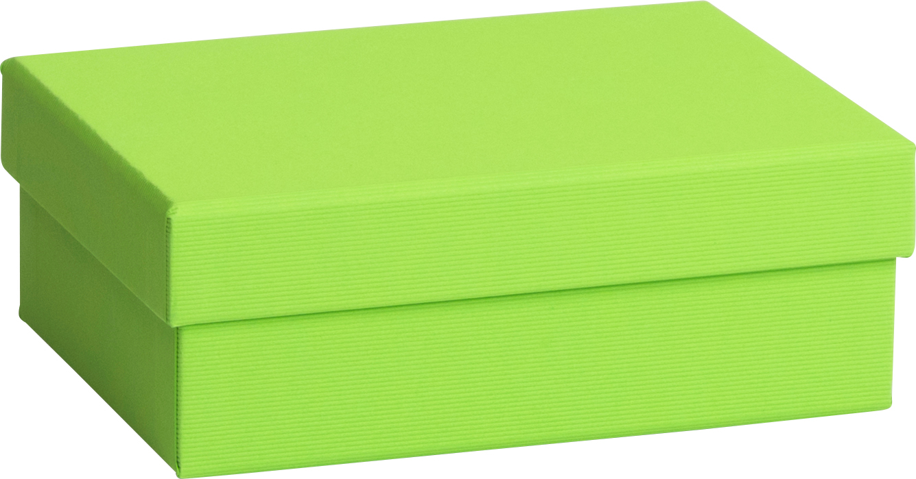 STEWO Boîte cadeau One Colour 2551782891 vert clair 12x16.5x6cm