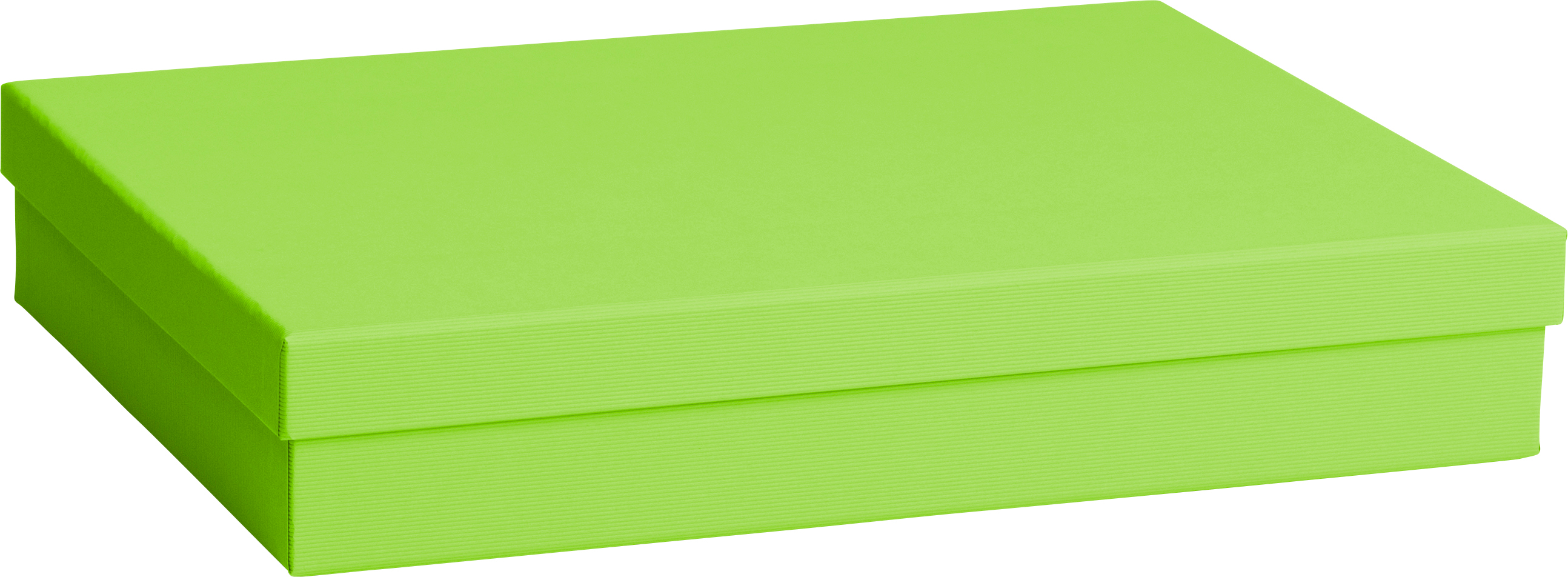 STEWO Boîte cadeau One Colour 2551782893 vert clair 24x33x6cm vert clair 24x33x6cm