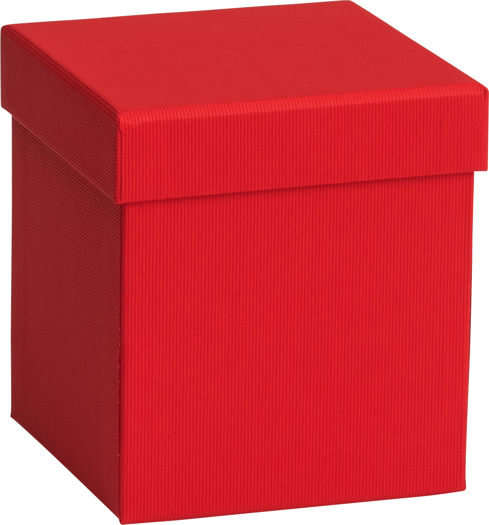STEWO Boîte cadeau One Colour 2551784390 rouge 11x11x12cm