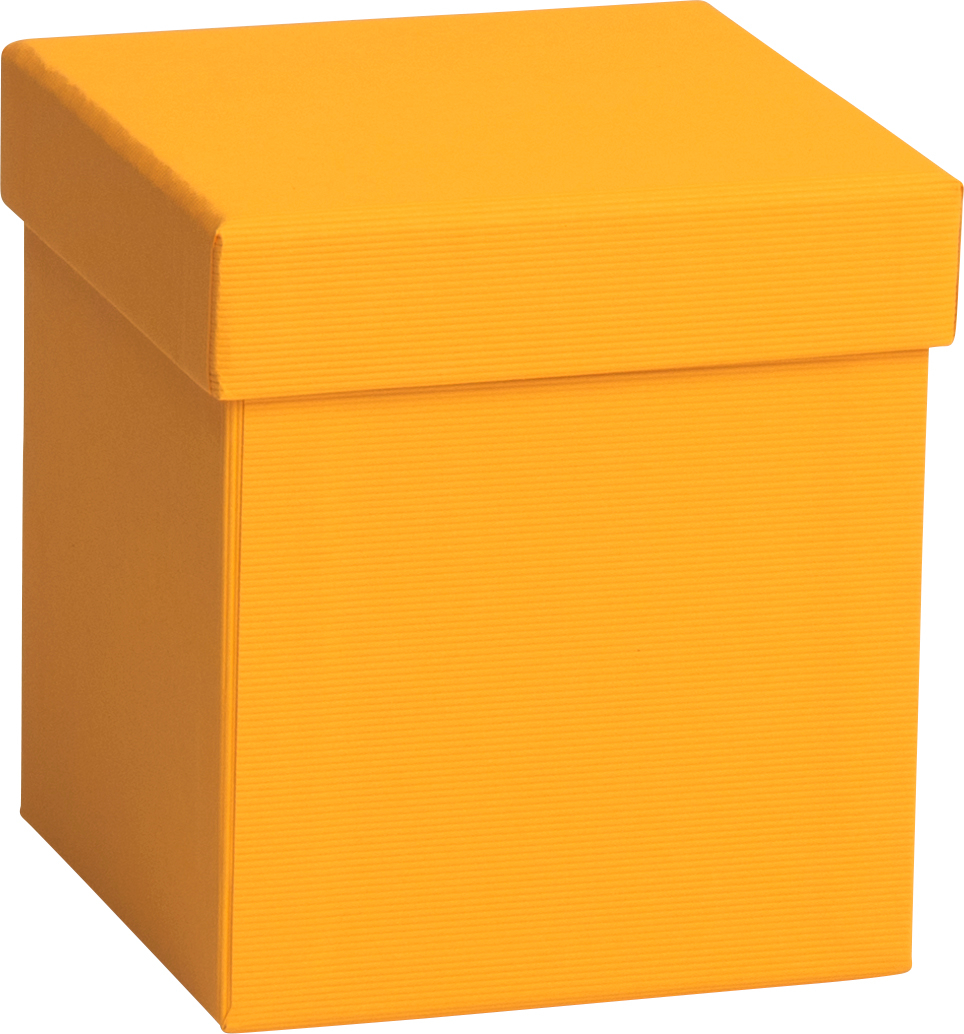 STEWO Boîte cadeau One Colour 2551784590 orange foncé 11x11x12cm