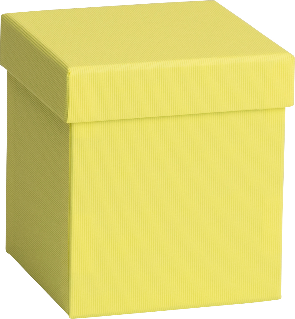STEWO Boîte cadeau One Colour 2551785590 jaune 11x11x12cm jaune 11x11x12cm