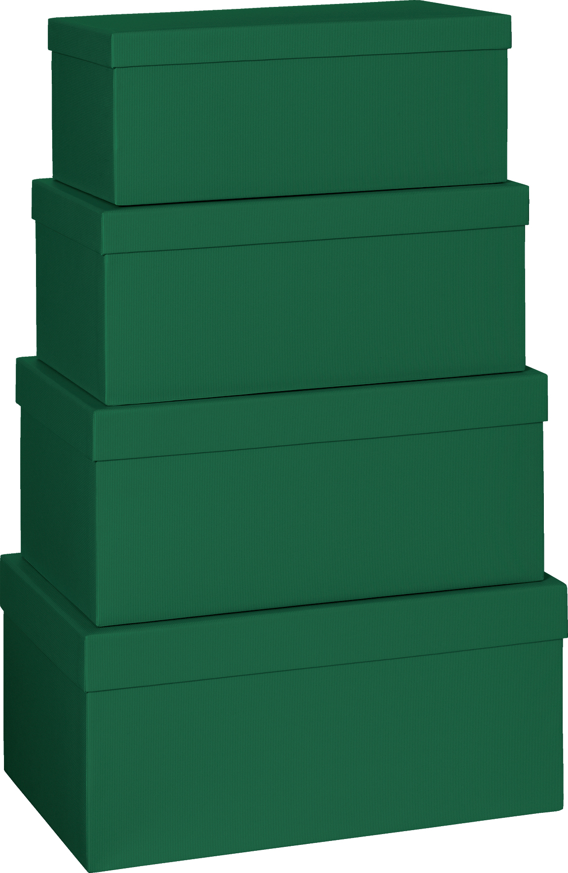 STEWO Geschenkbox One Colour 2552782647 grün 4 Stück