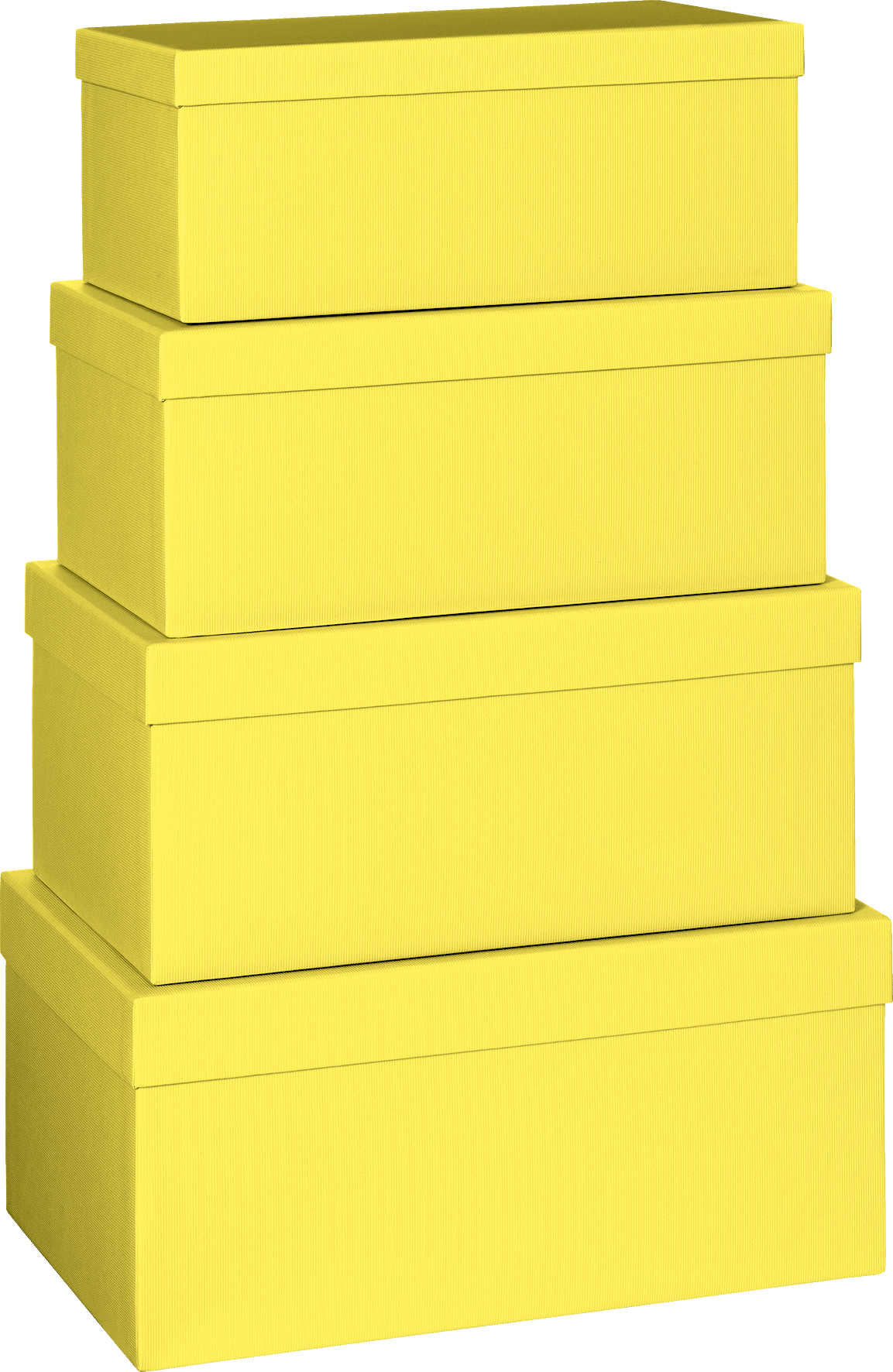 STEWO Geschenkbox One Colour 2552785510 gelb 4 Stück
