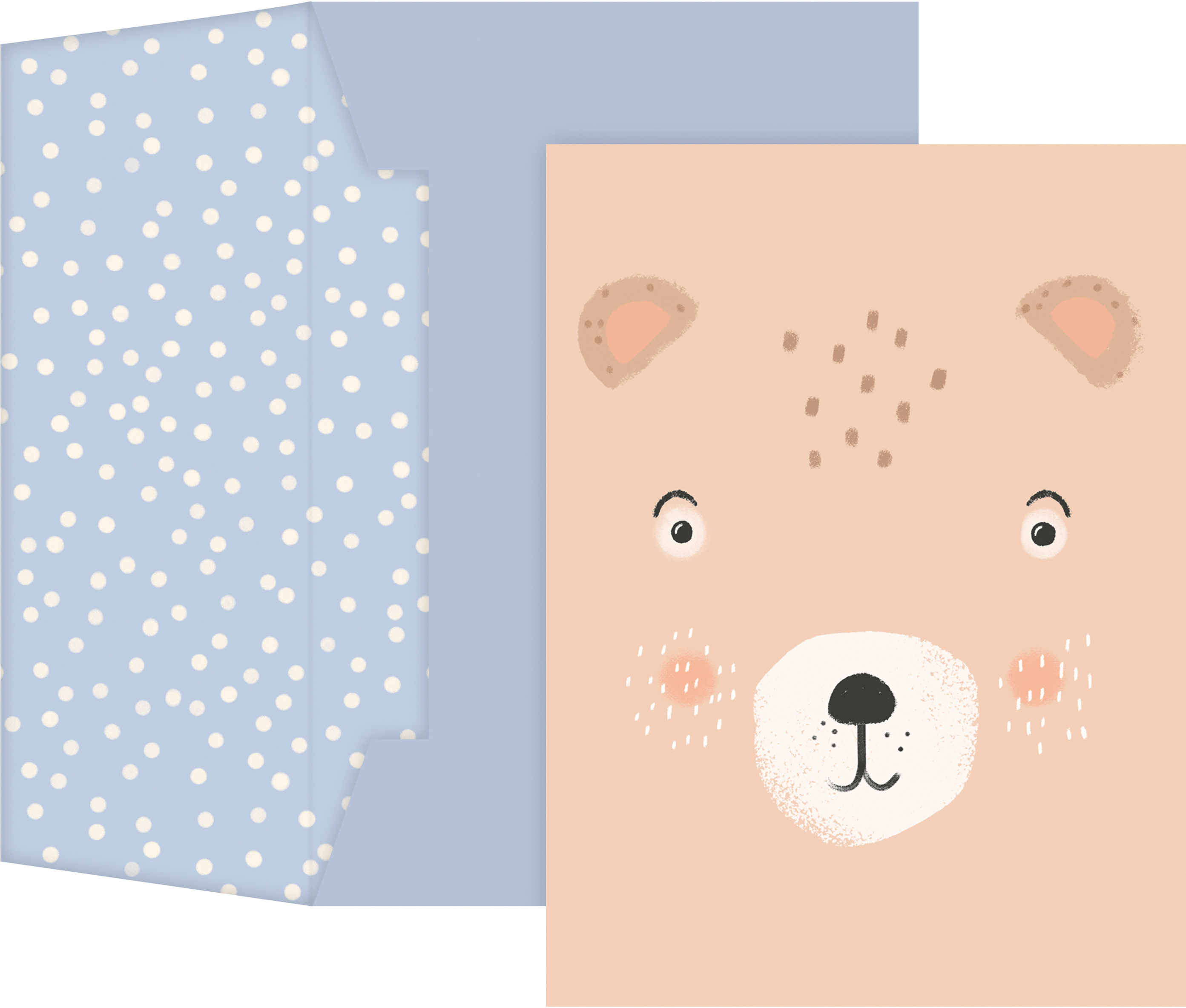 photo STEWO Carte cadeau Buba A6 2581518051 bleu