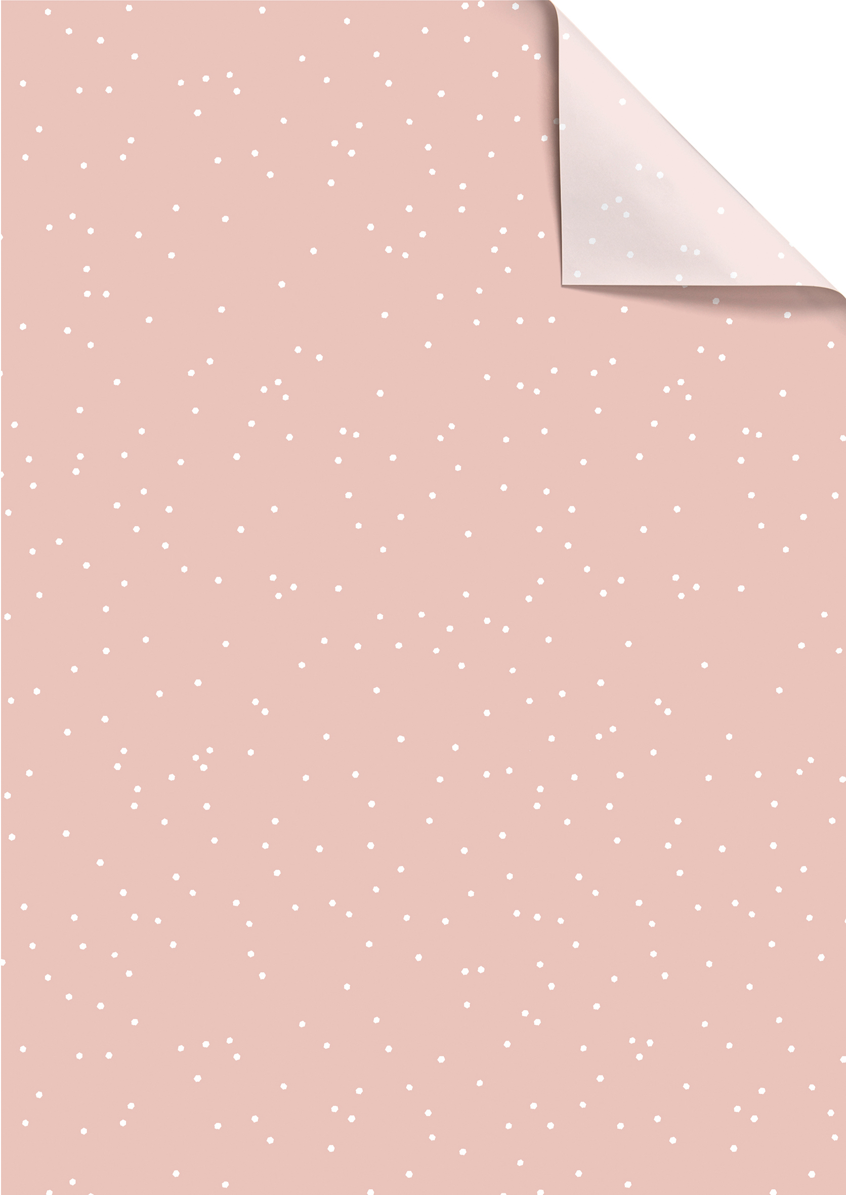 photo de l'article 424708