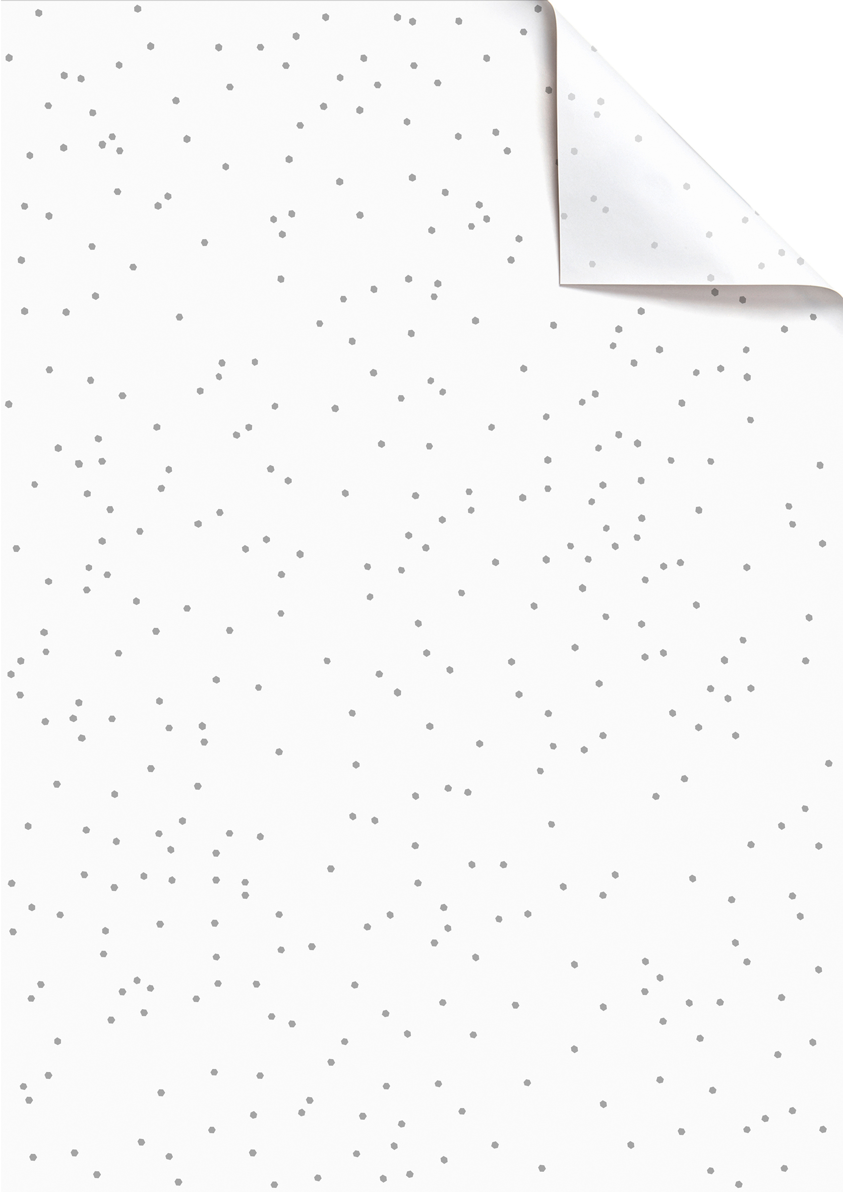 photo de l'article 424709