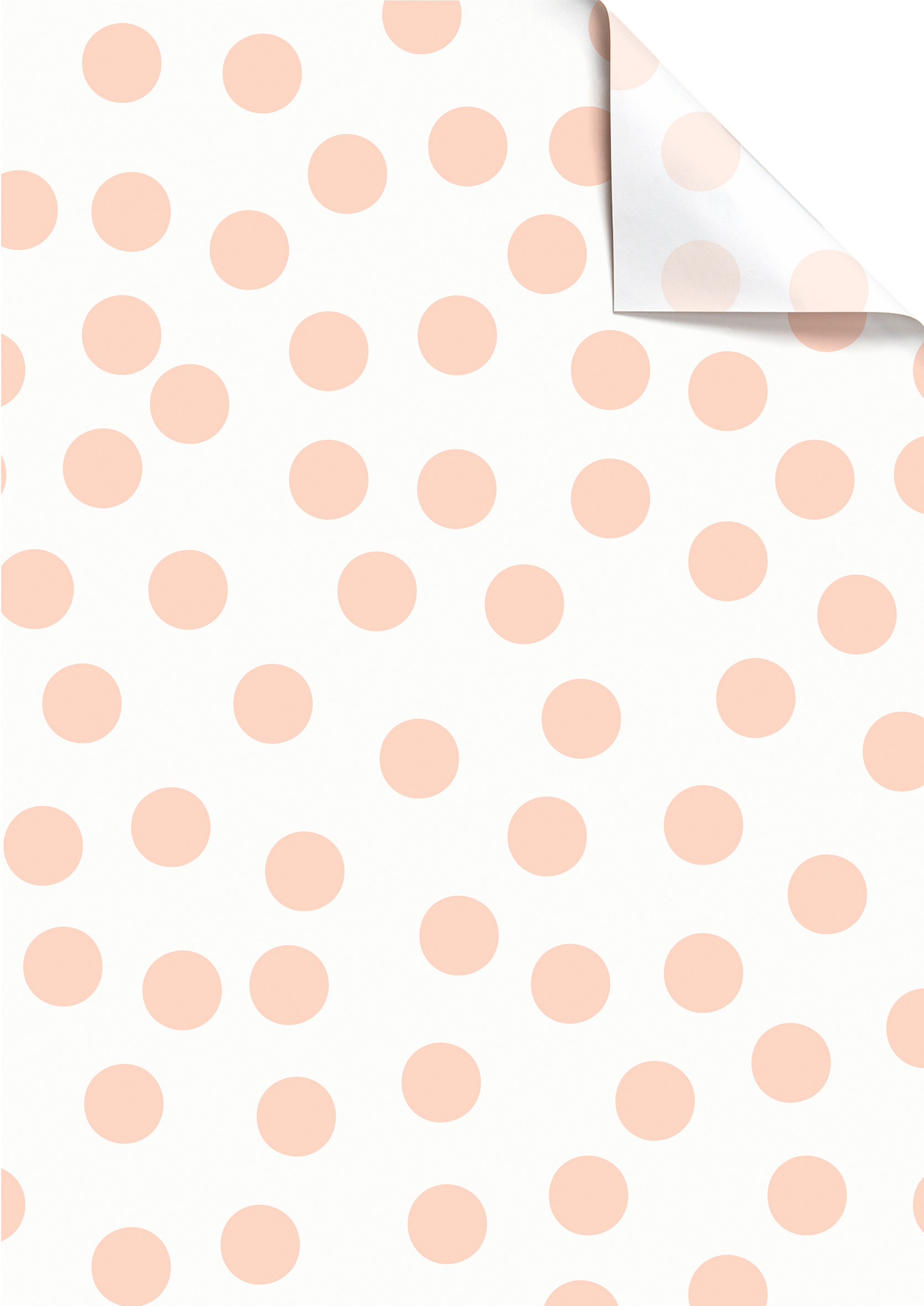 photo de l'article 424710