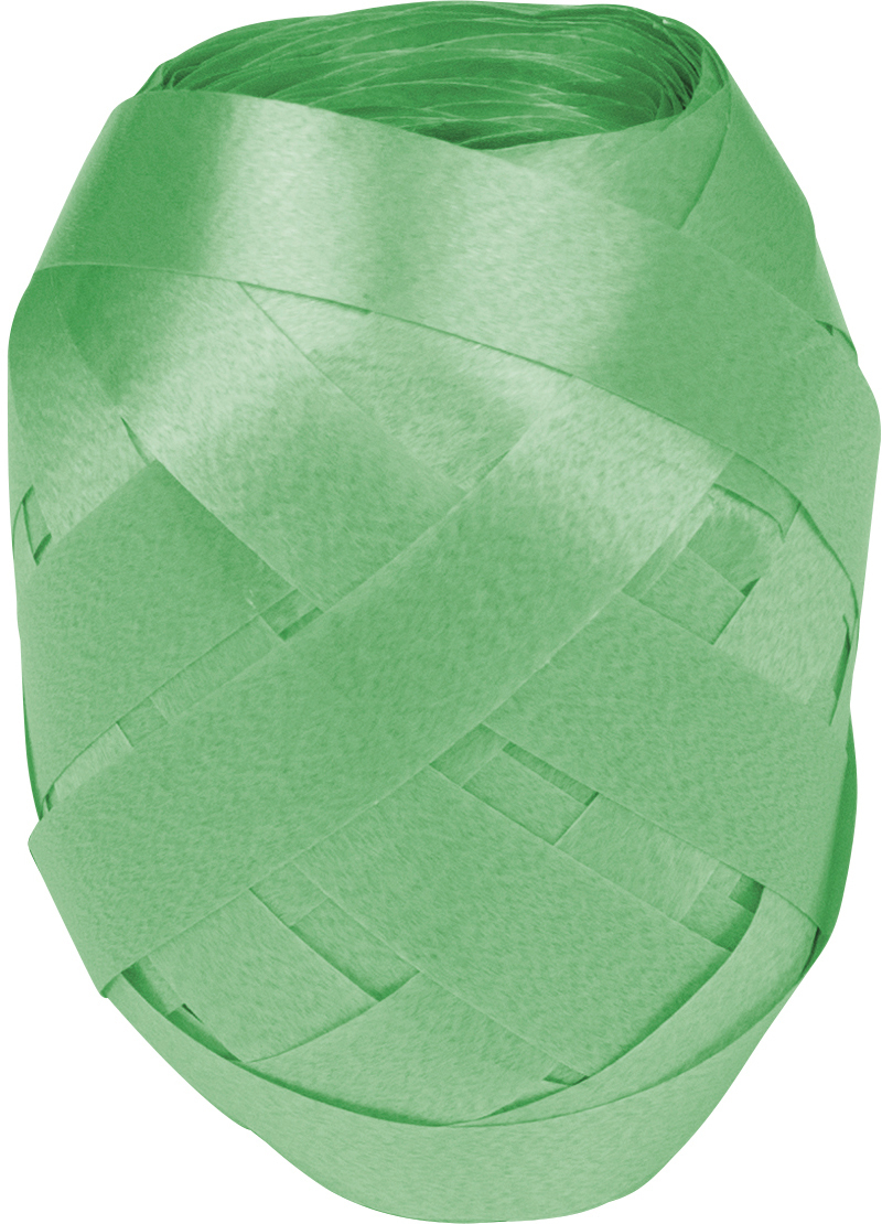 photo STEWO Ruban cadeau Poly 2583415655 sauge 10mm 10x30m